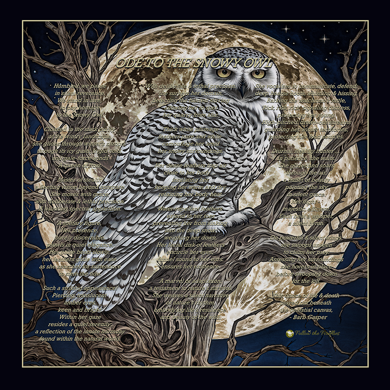 Ode to the Snowy Owl 18x18