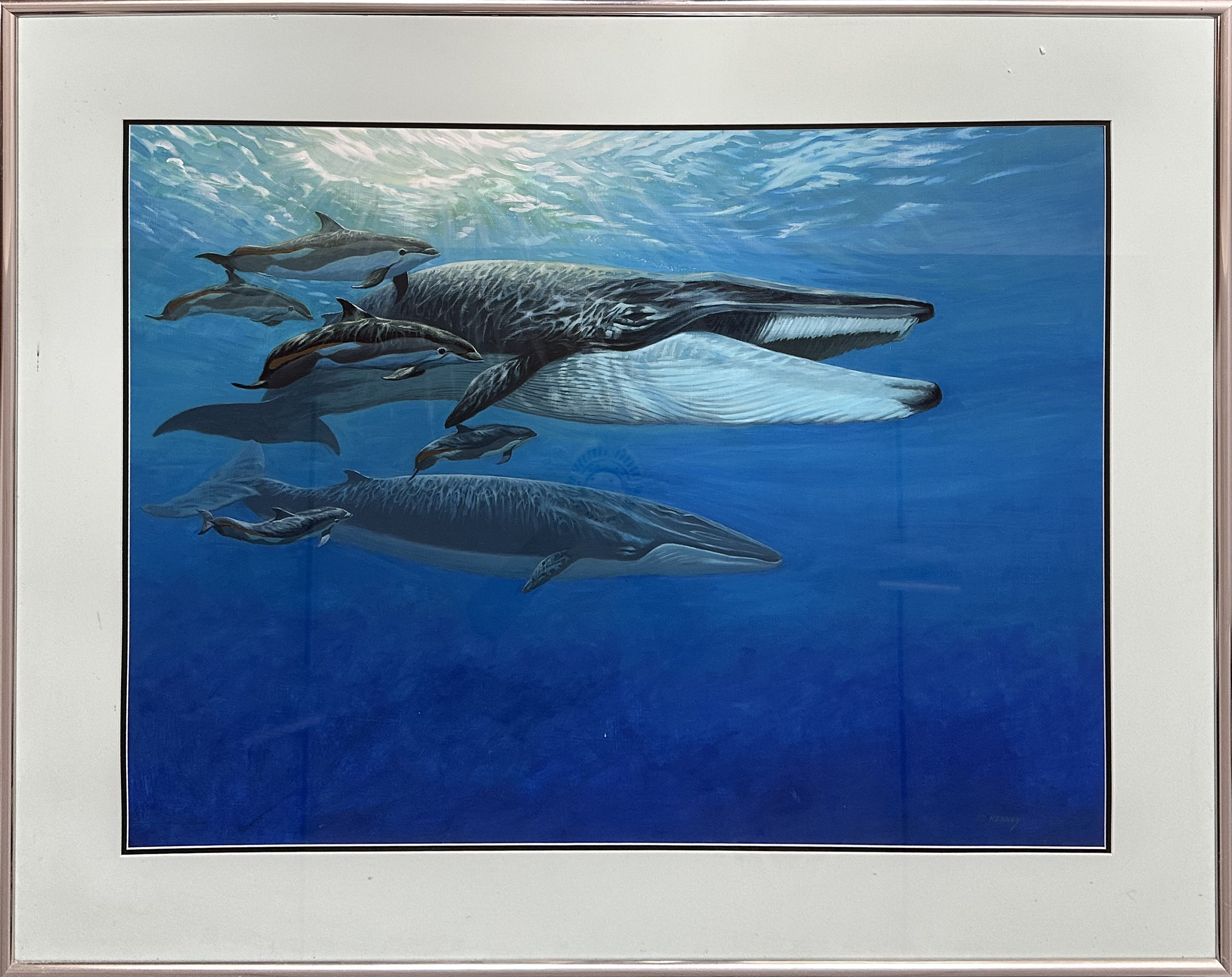 Framed Whales into the Abyss