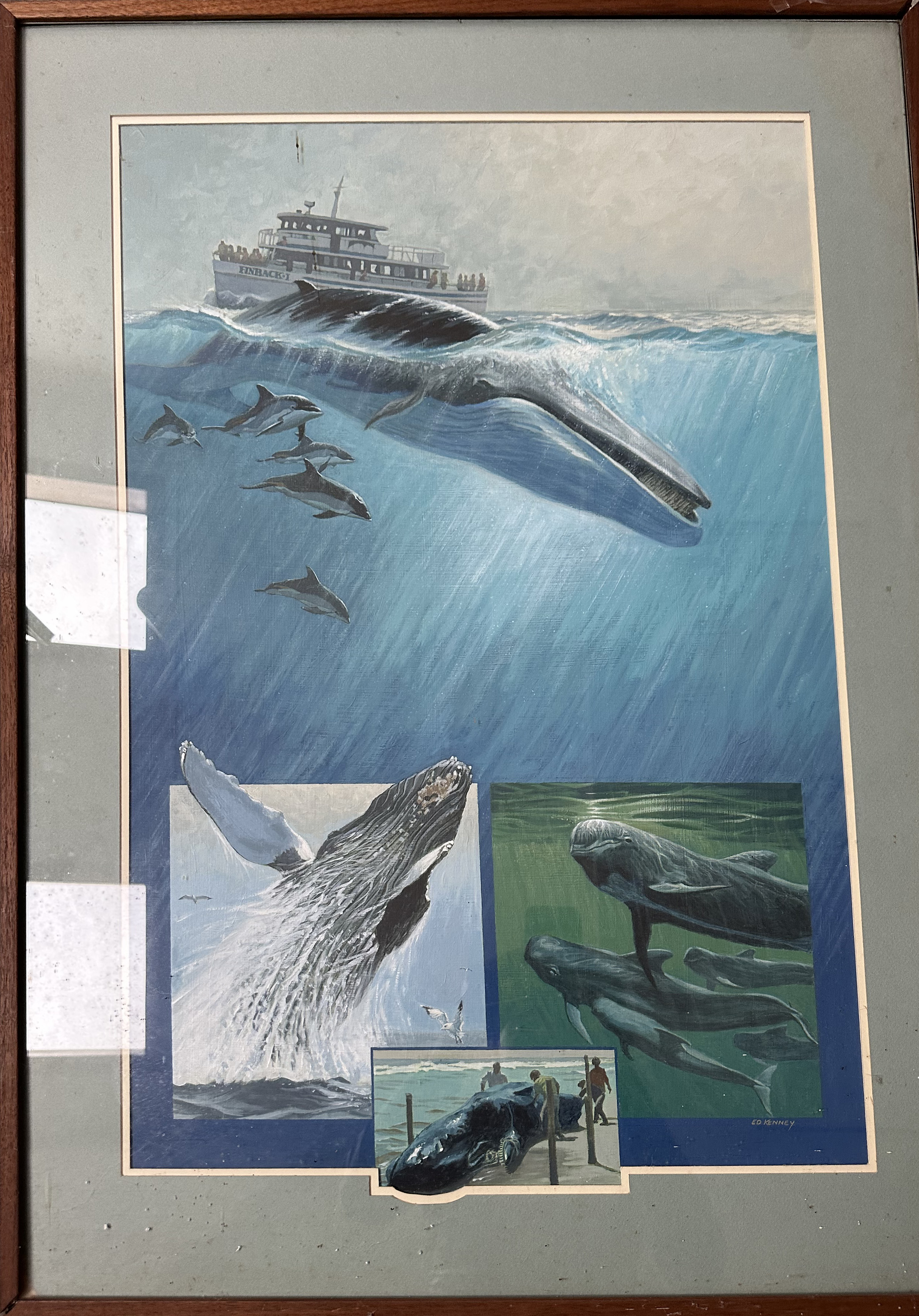 Whale Watch