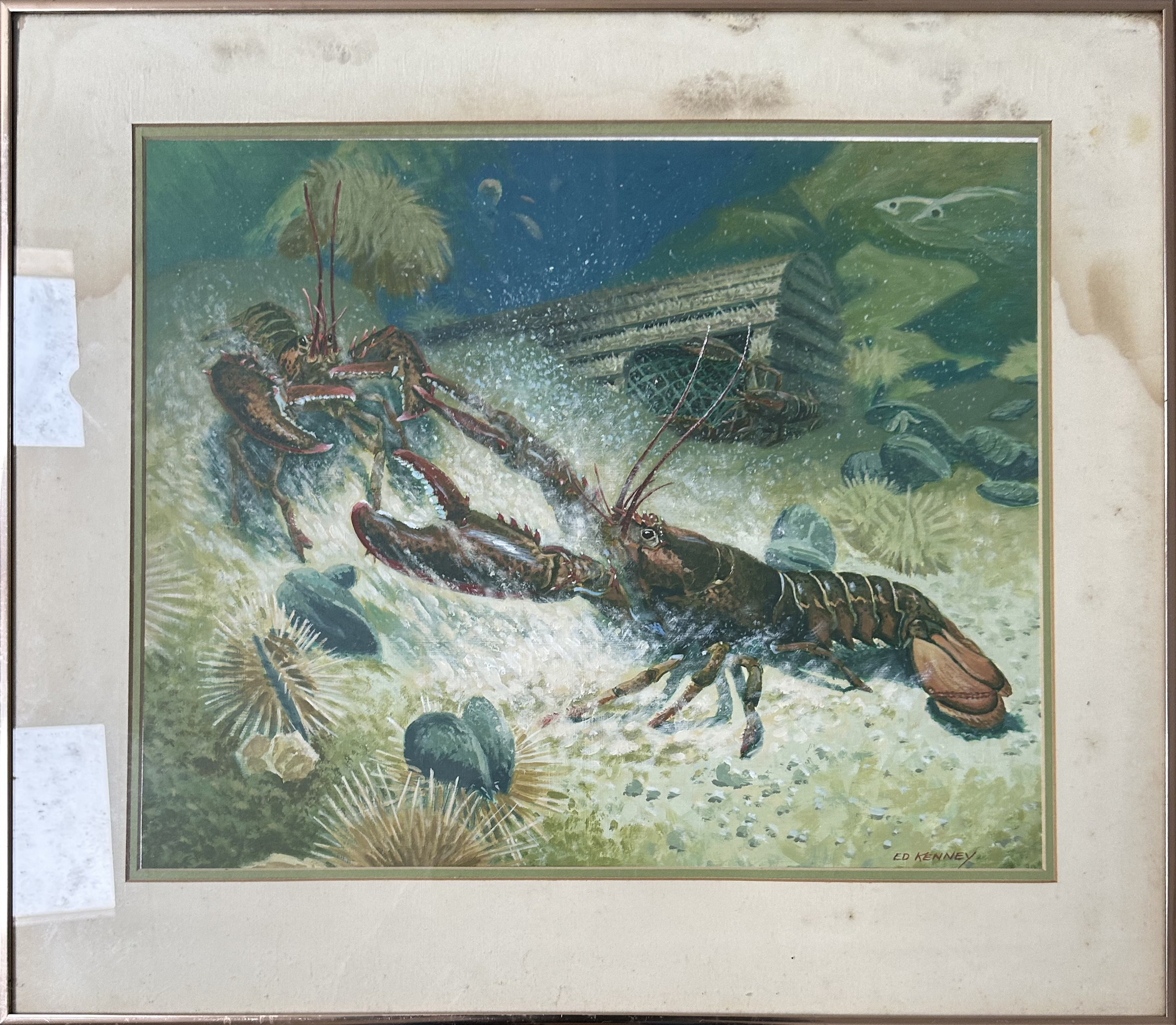 Undersea Gladiators
