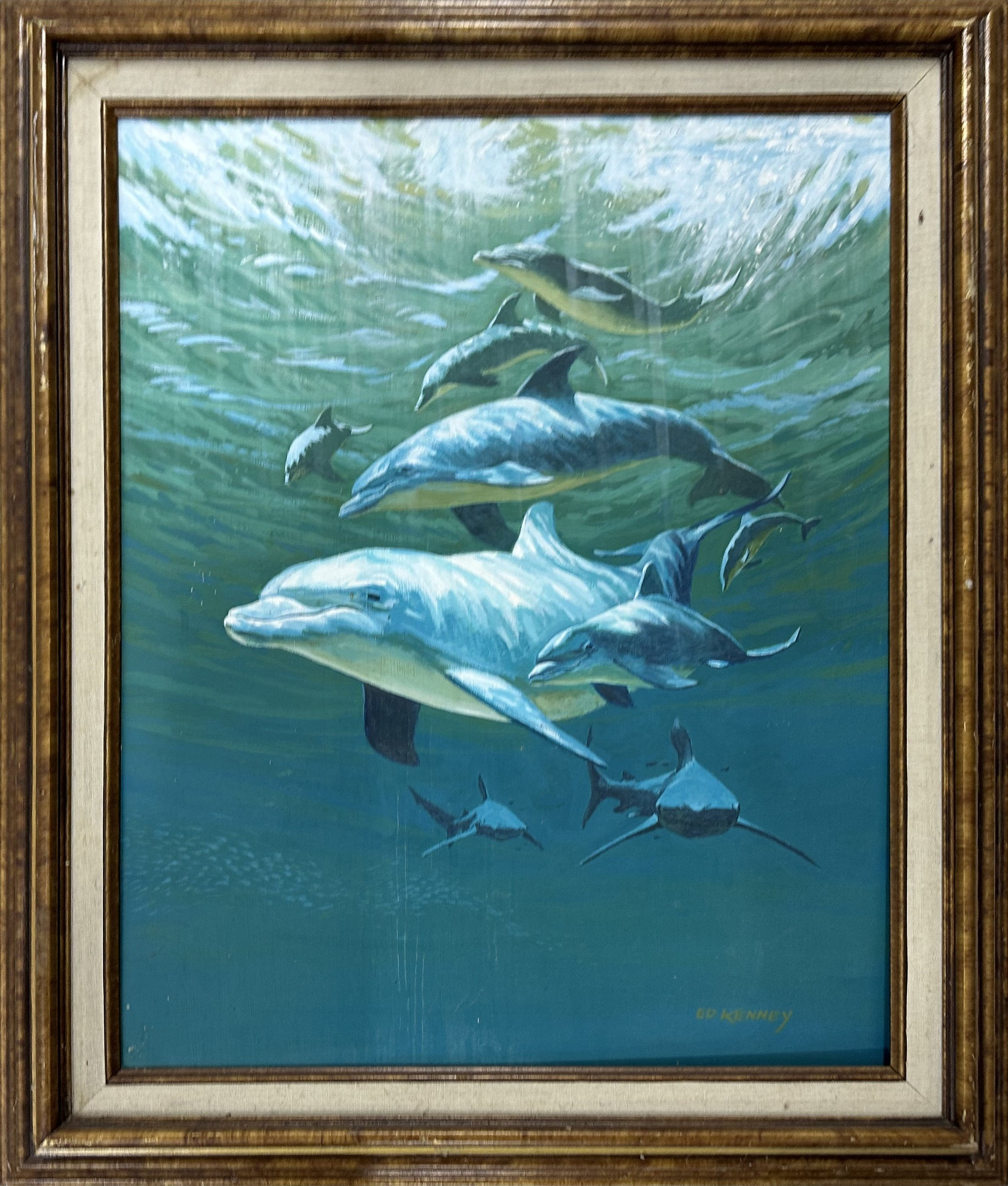 Dolphin Artwork