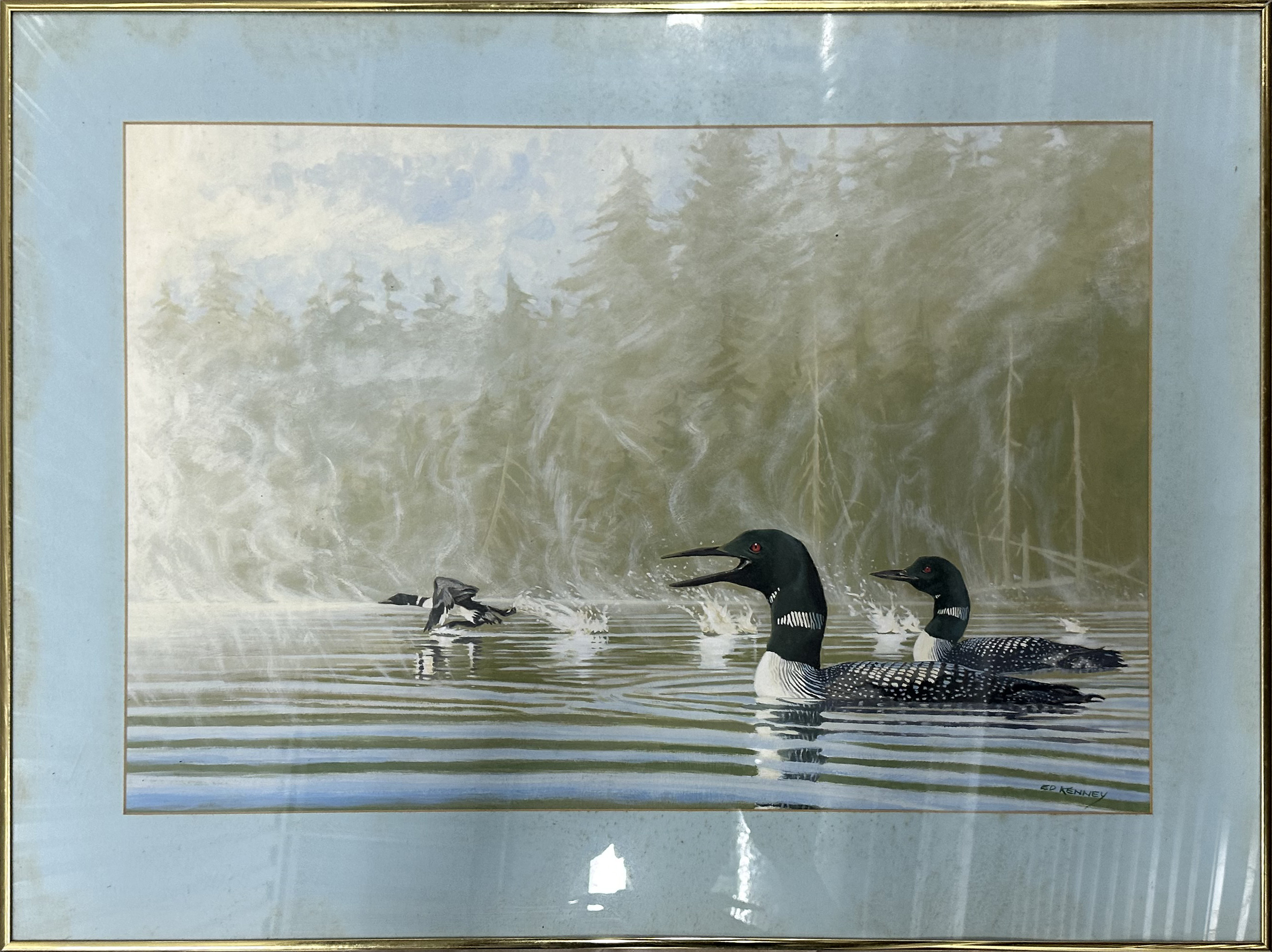 Framed Nature Artwork