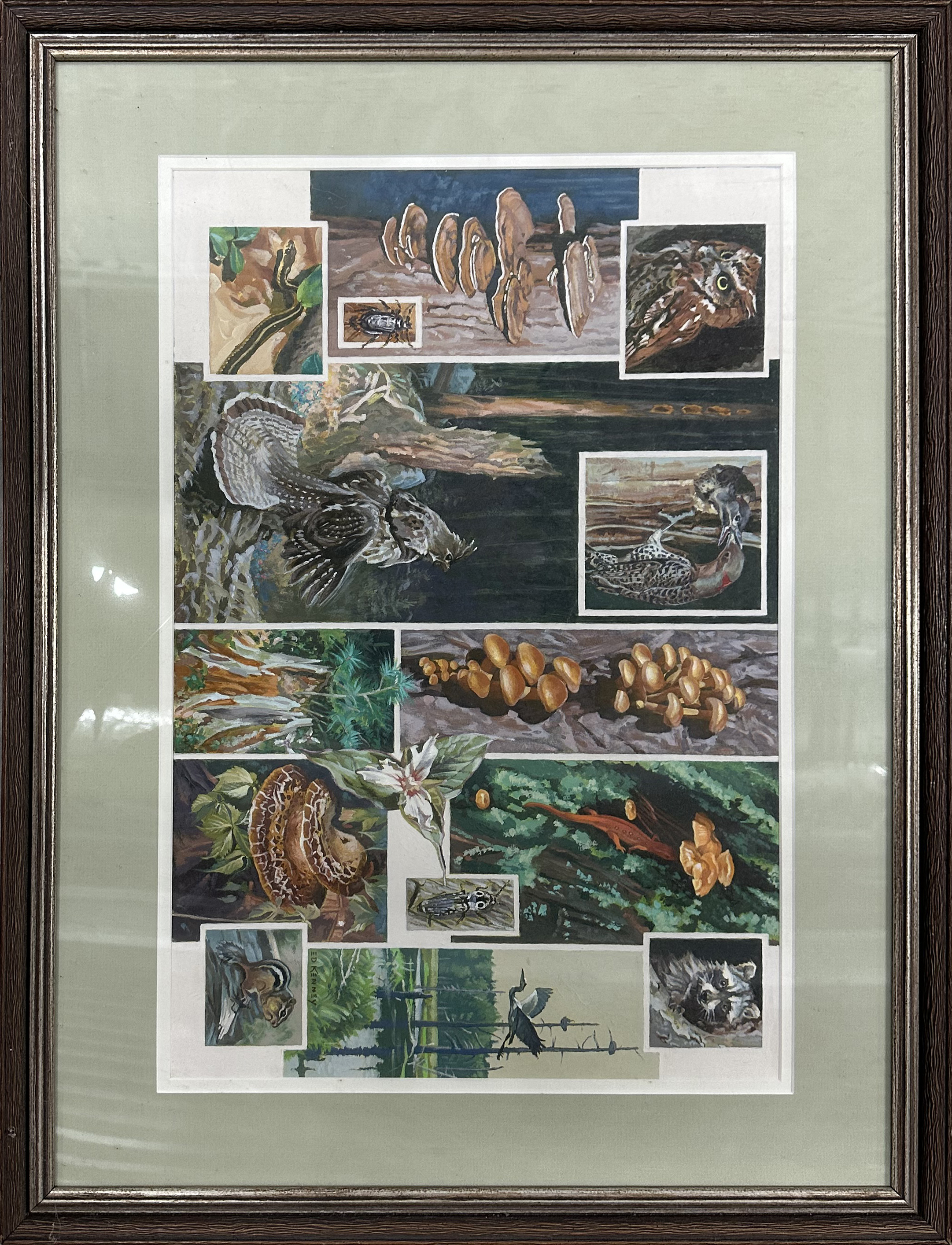 Nature Collage Art Print