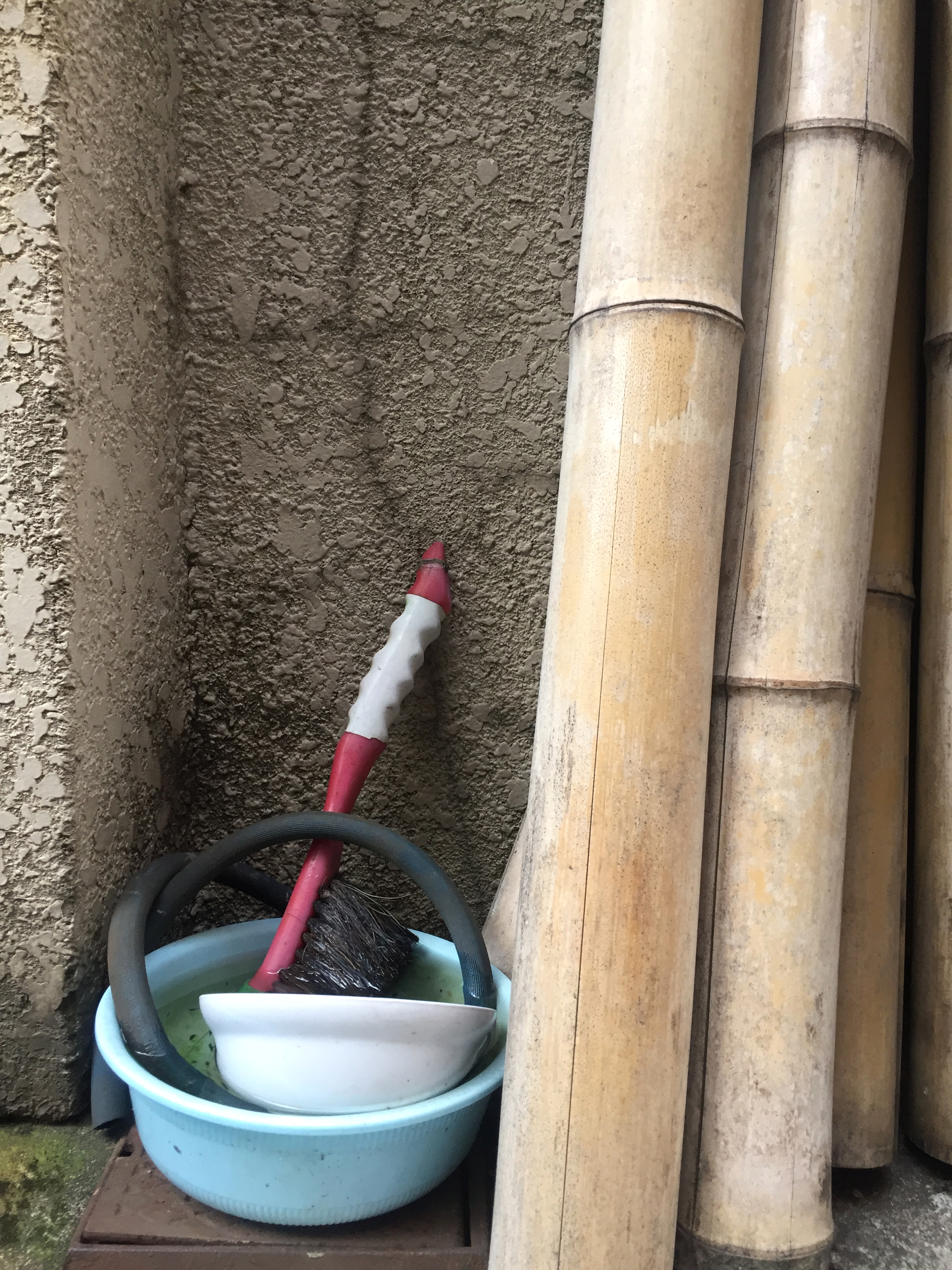 Brush and Bamboo / Artist: Aleksandra Niemczyk