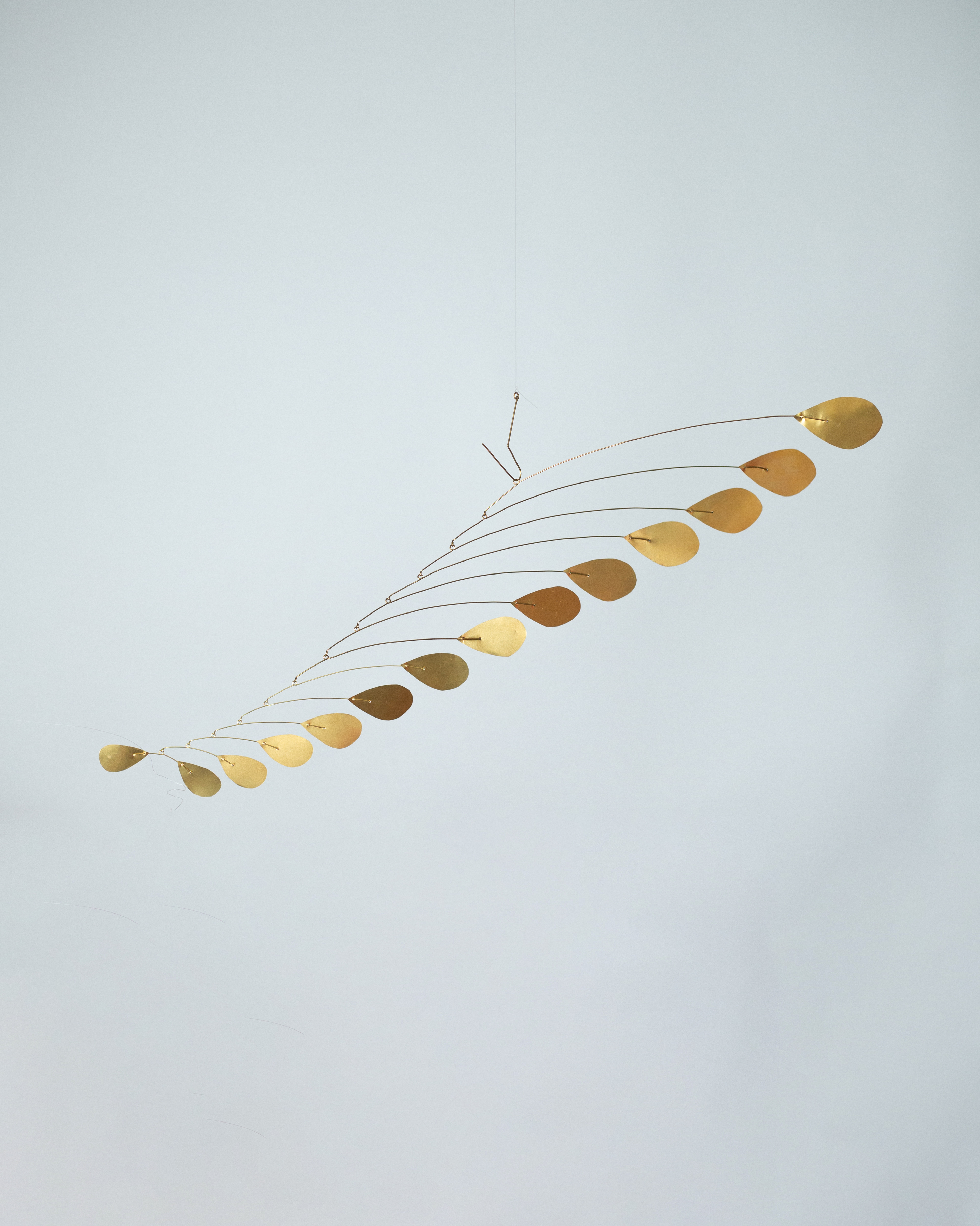 Long Winter Brightness / Artist: Phineas Harper