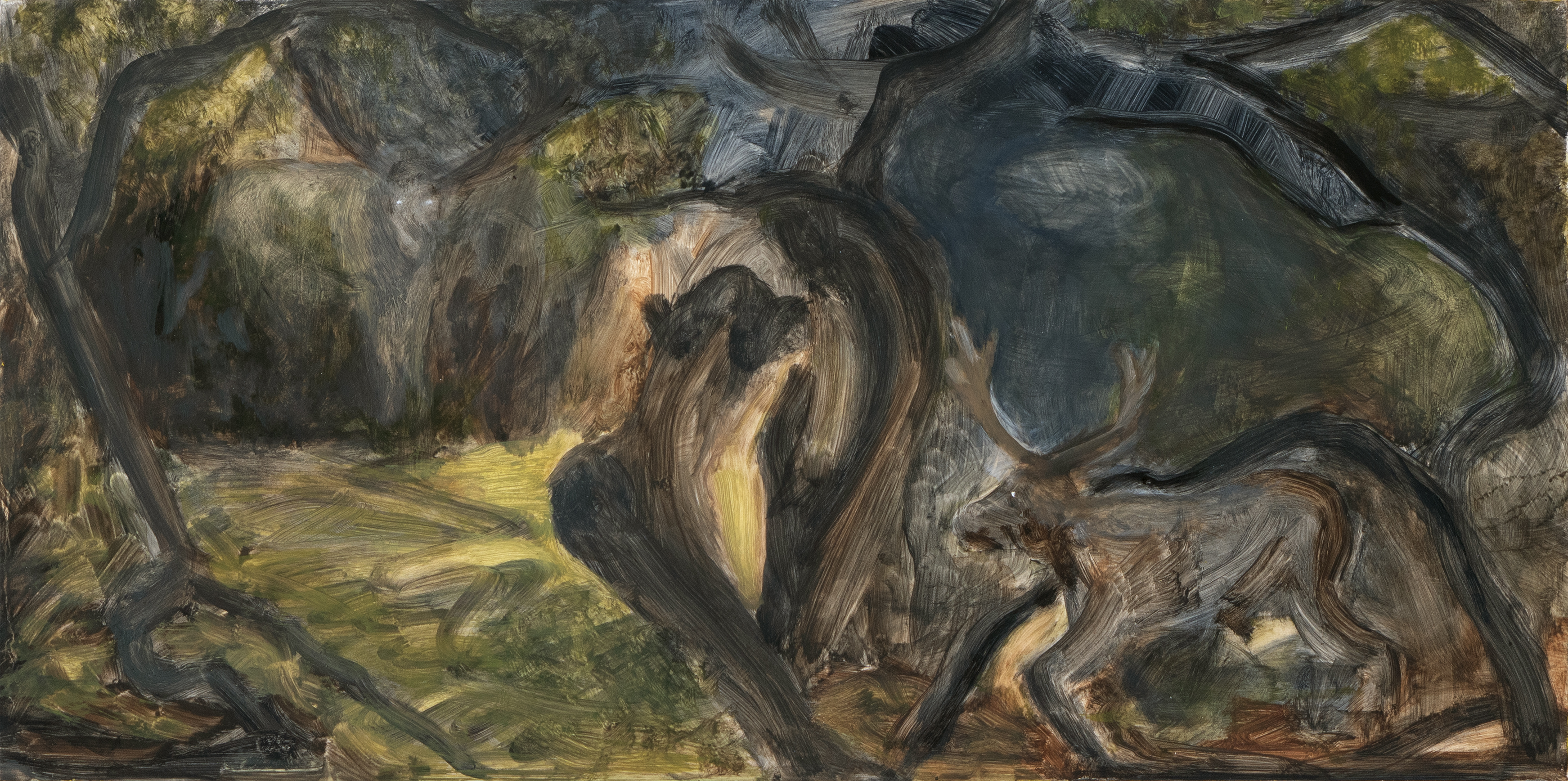 Nocturnes / Artist: Kate Stephens