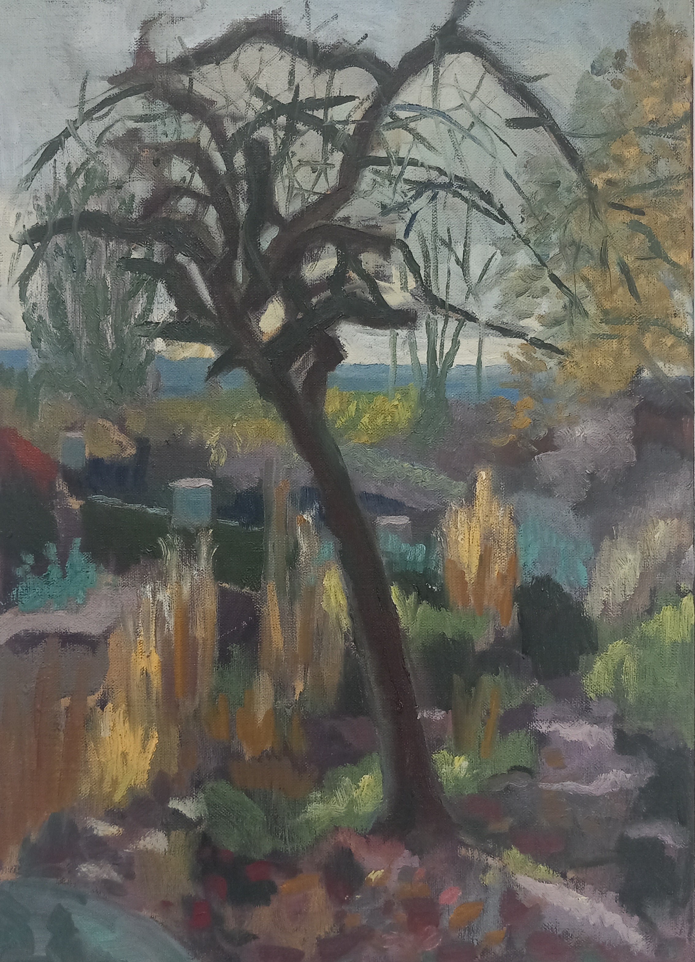 December / jonathan Cowell