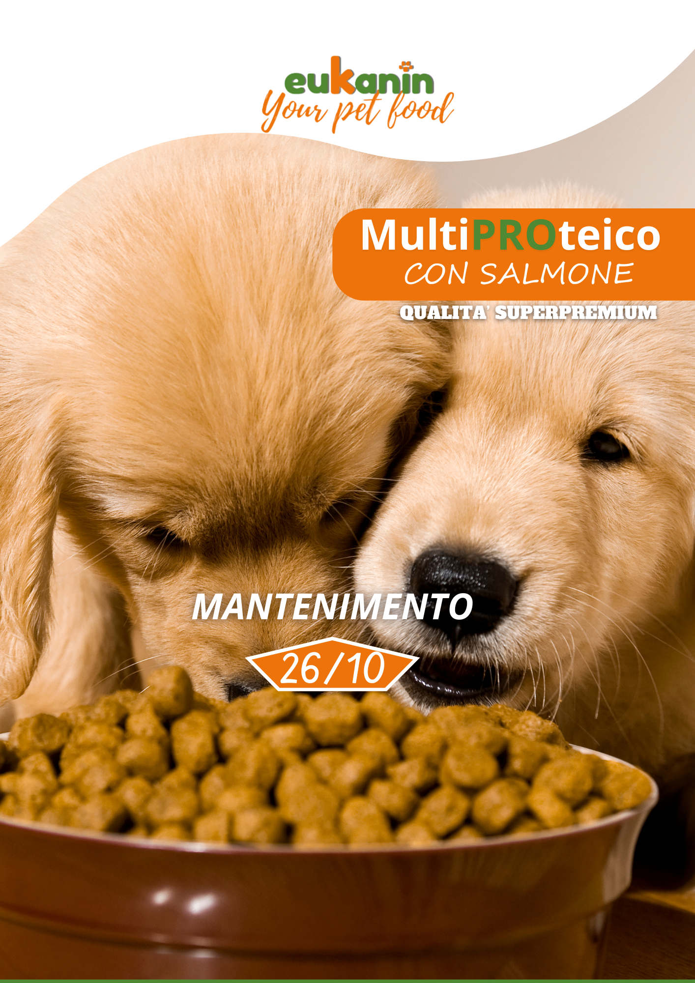 Mantenimento Multiproteico al Salmone 20 KG