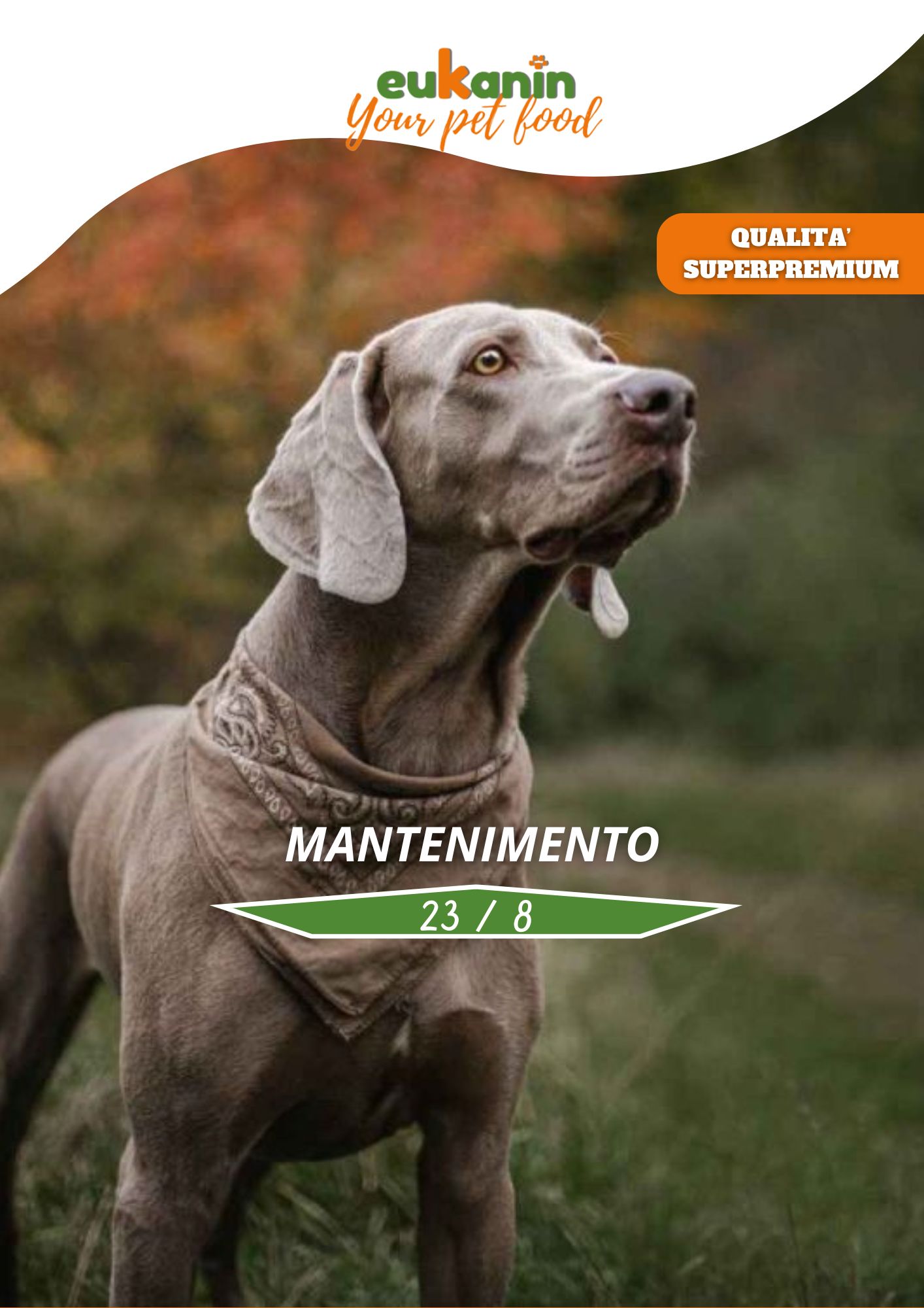 Mantenimento 23/8 20 KG