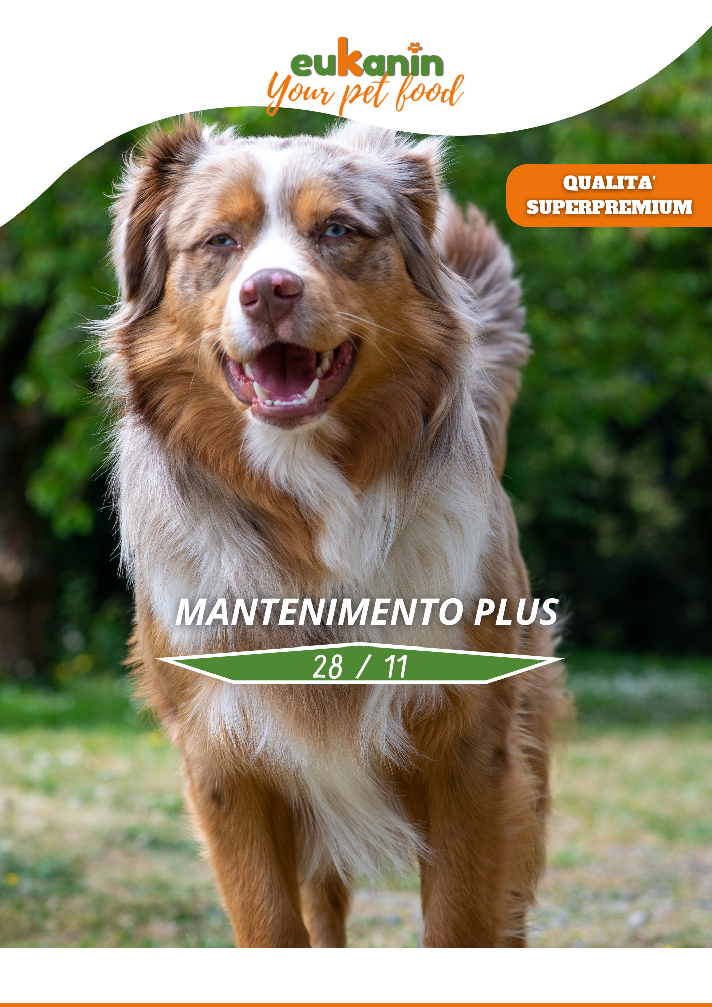 Mantenimento Plus 20 KG