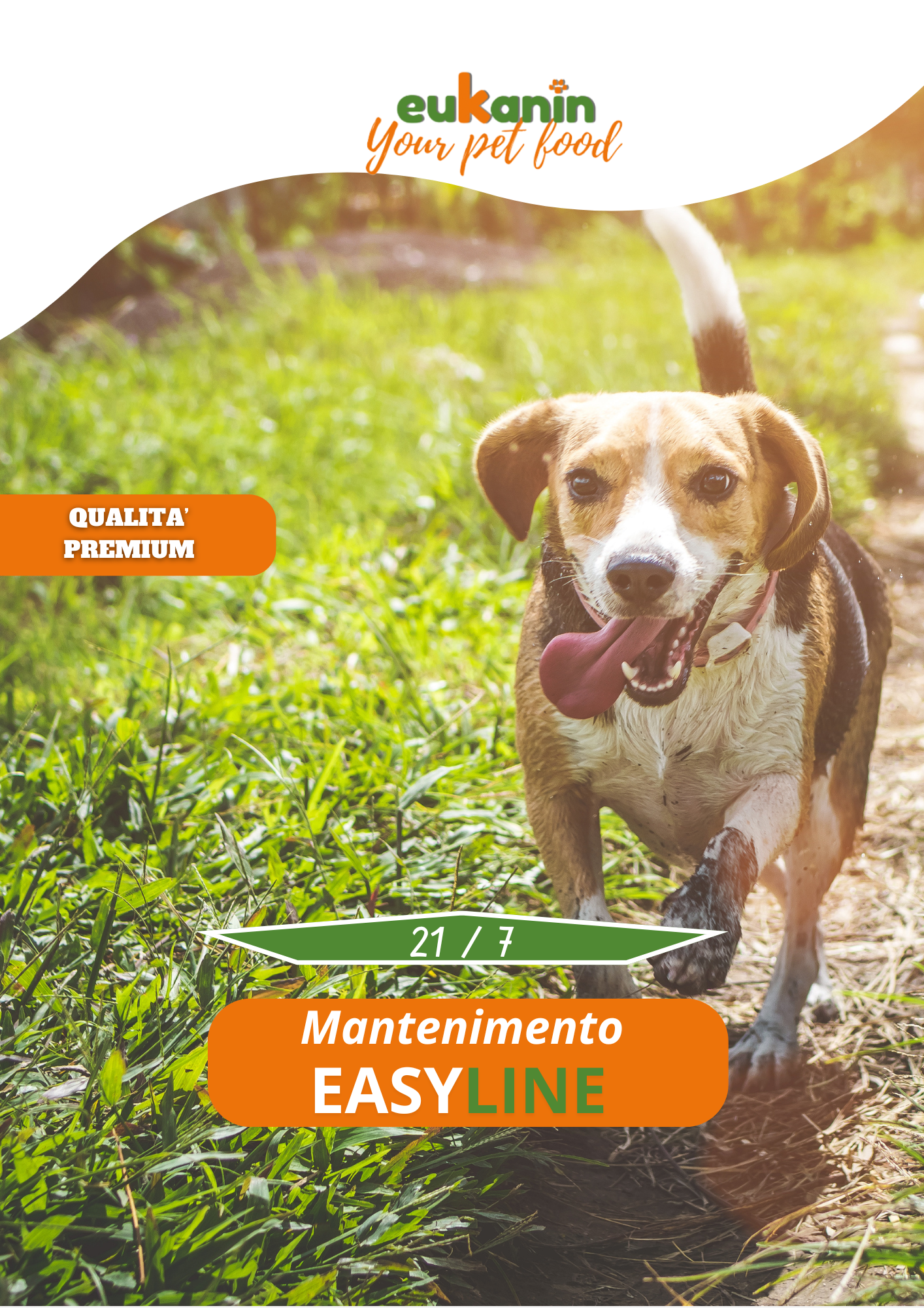 Mantenimento Easy Line 20 KG