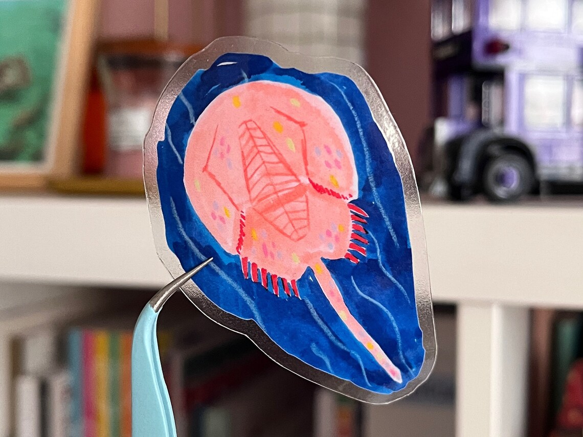 Sticker vinyle - Limule