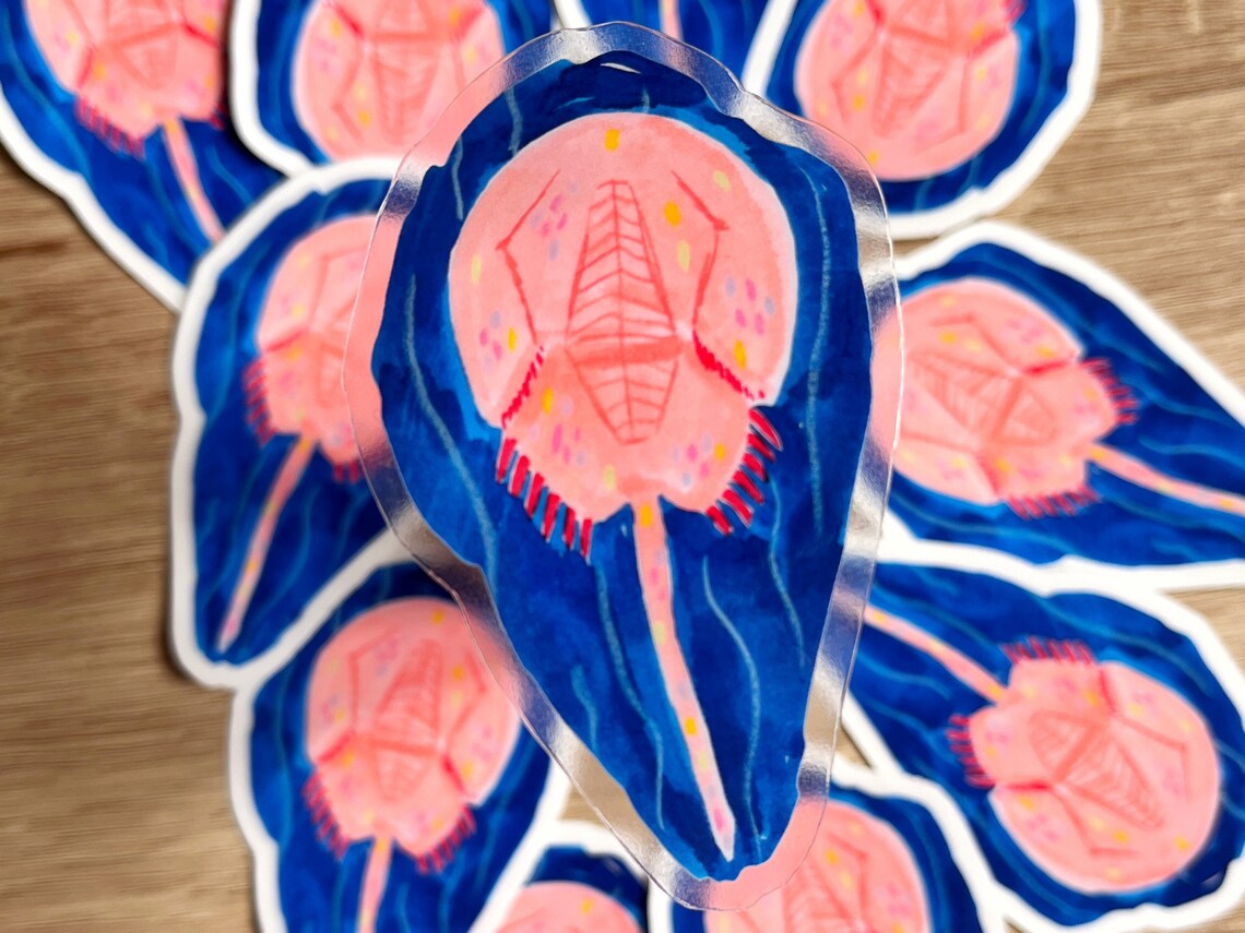 Sticker vinyle - Limule