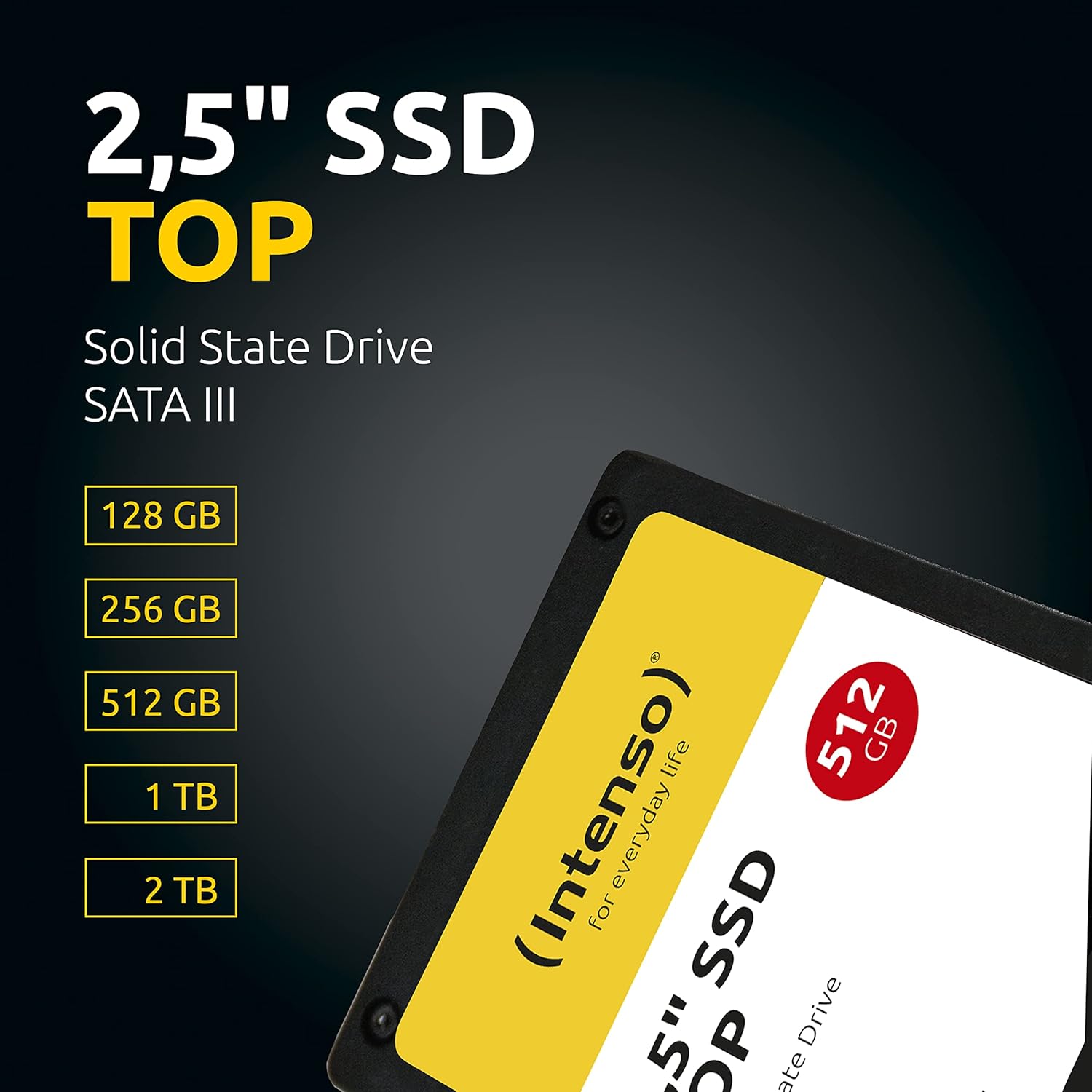 Intenso SSD Intenso Top Performance 2.5" 128 Go Série ATA III MLC