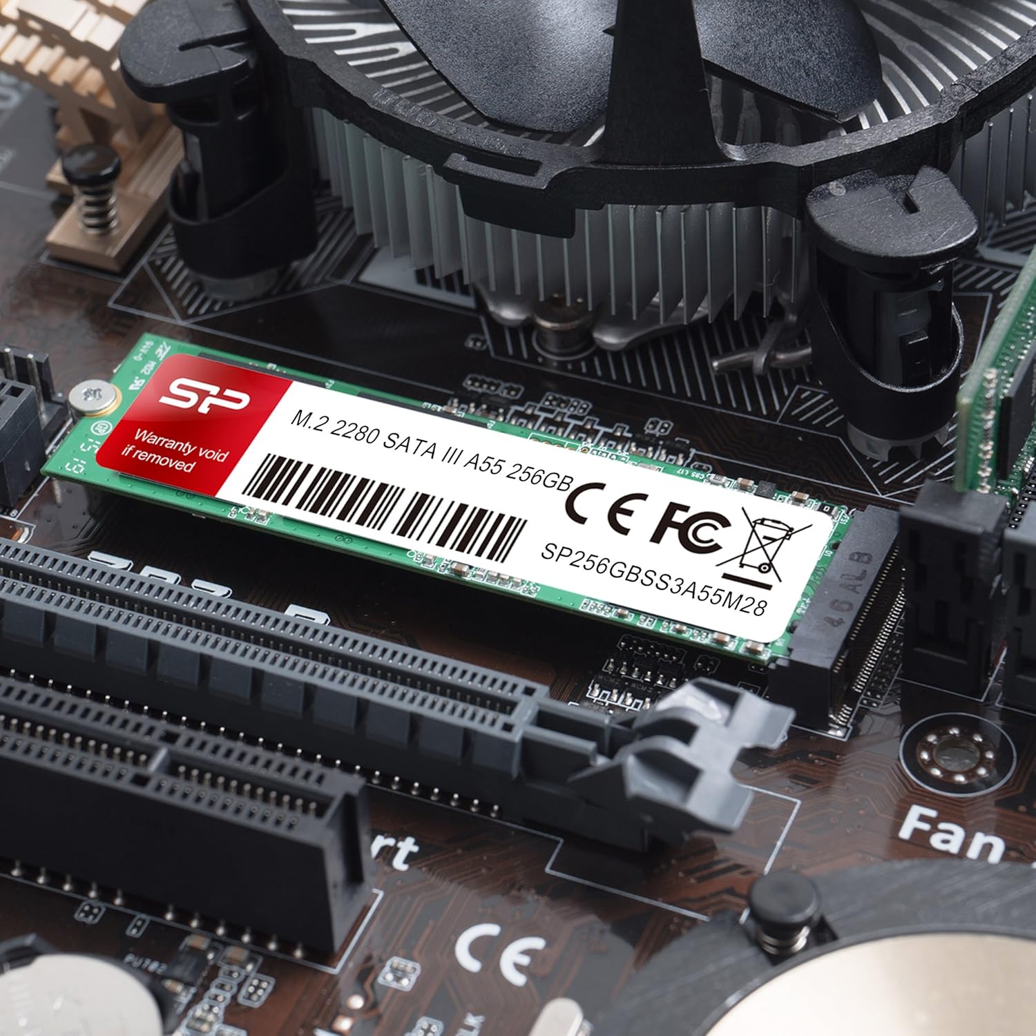 Silicon Power SP - SSD Disque Dur Interne Solide Ace A55 M.2 2280 (3D NAND Flash) 256 Go SATA III 6 Gbit/s