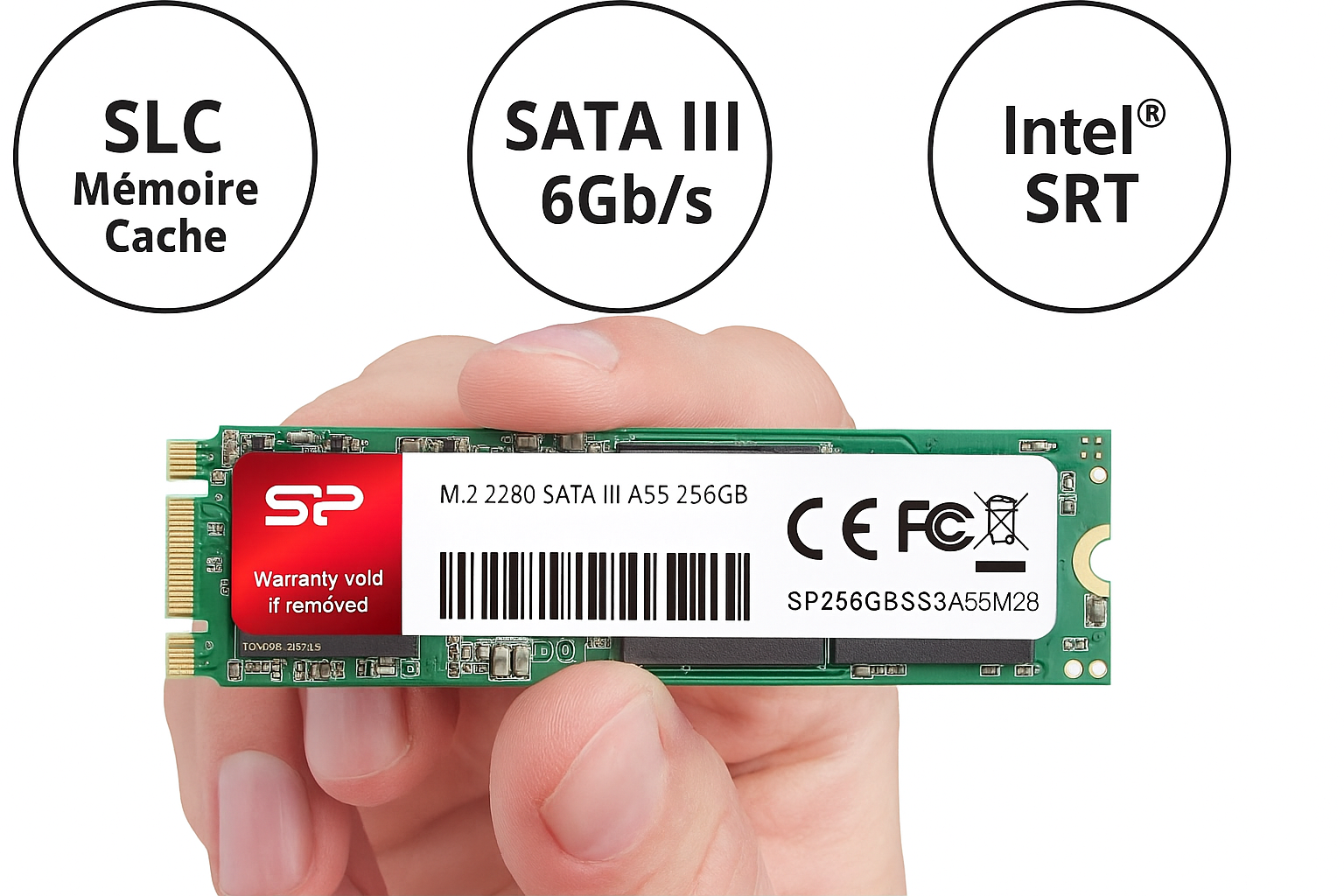 Silicon Power SP - SSD Disque Dur Interne Solide Ace A55 M.2 2280 (3D NAND Flash) 256 Go SATA III 6 Gbit/s