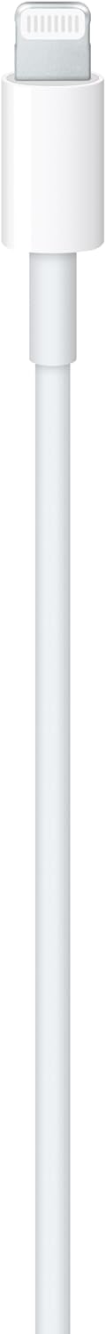 Apple Câble USB-C vers lightning 1 Mètre d'origine Apple