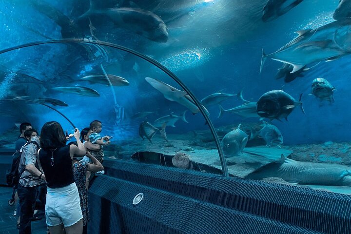 Underwater World Pattaya Tickets