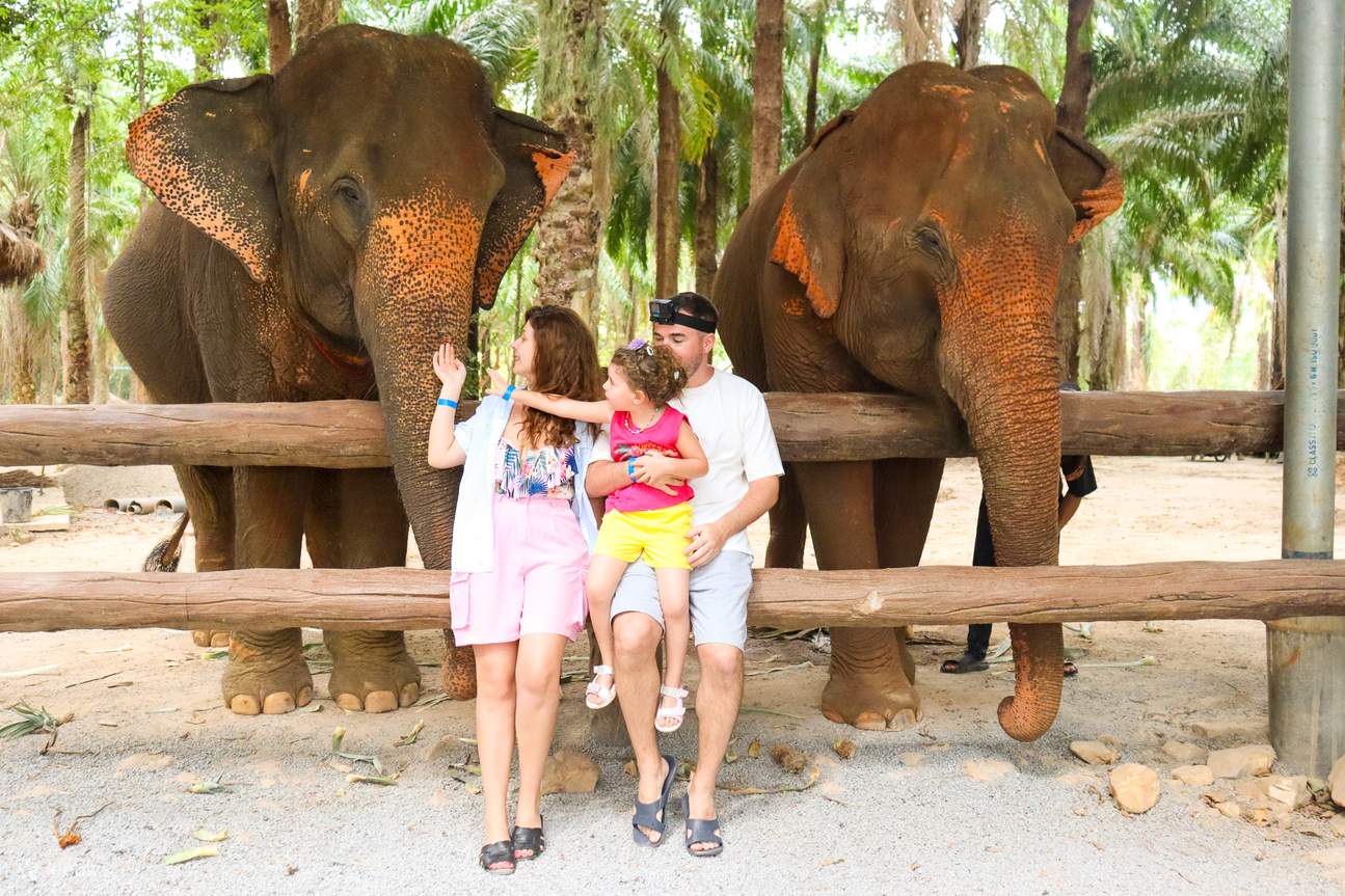 Krabi Elephant Sanctuary Experience