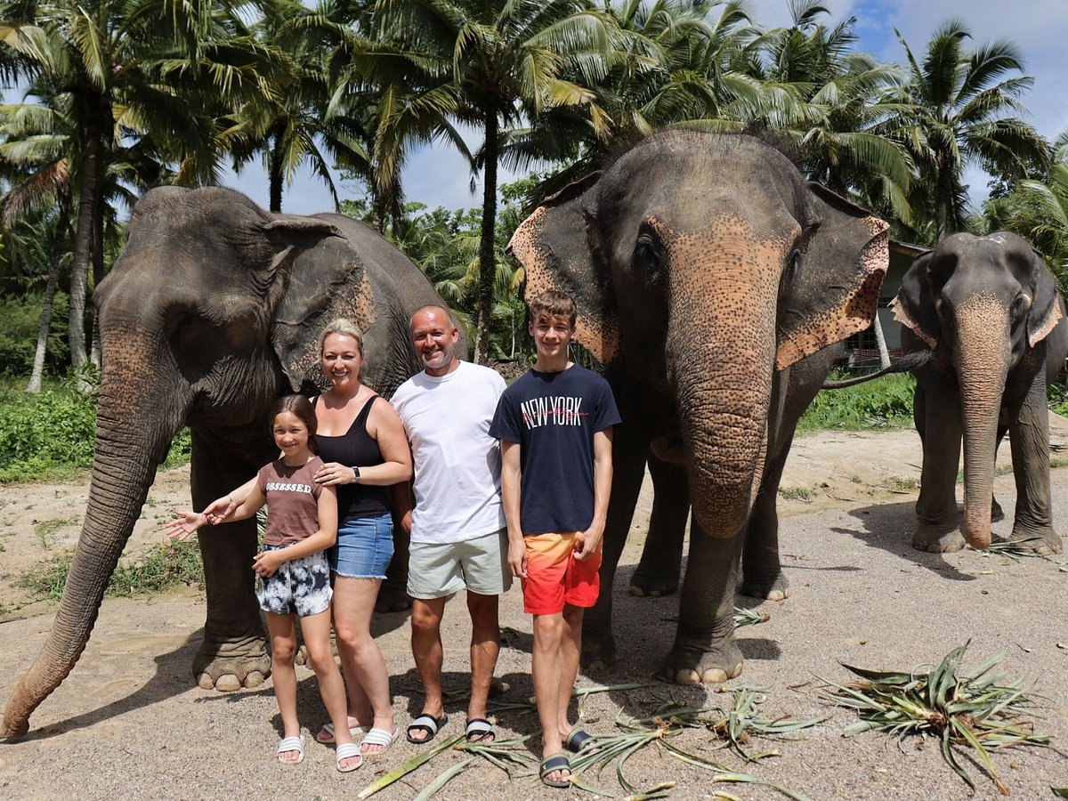 Krabi Elephant Sanctuary Experience