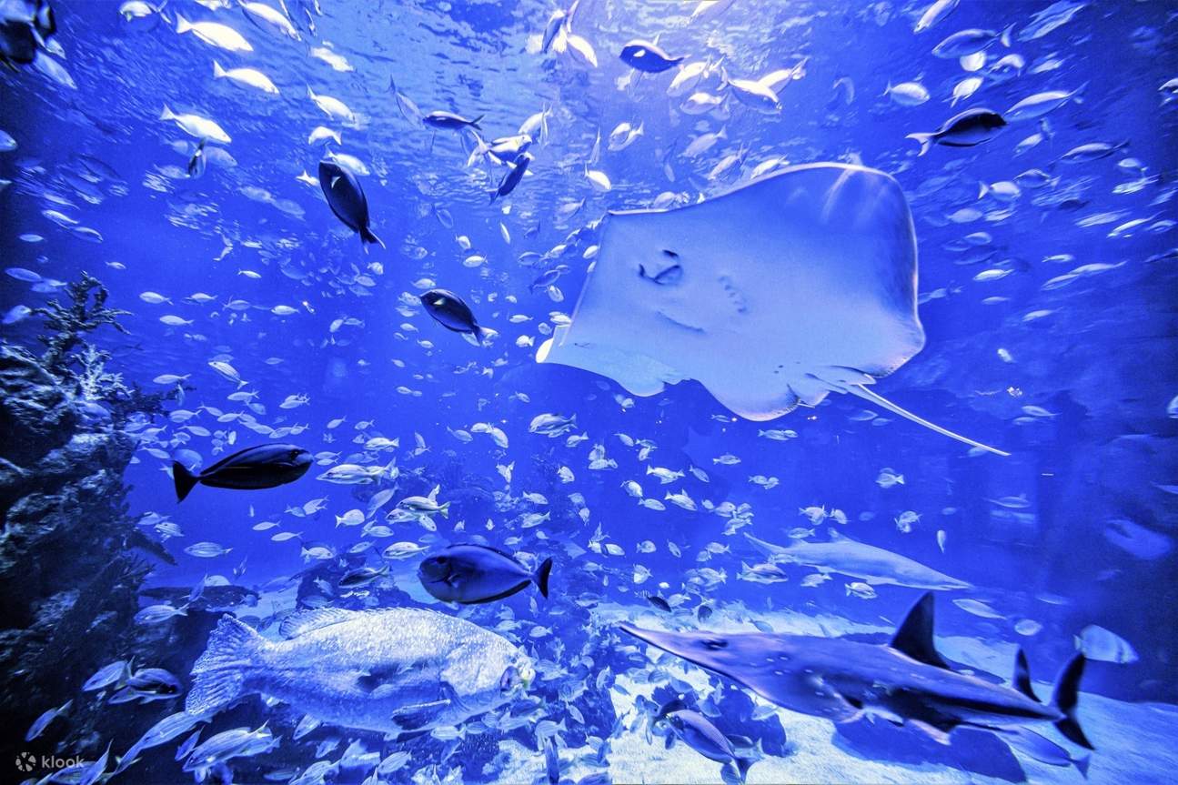 Aquaria Phuket Tickets