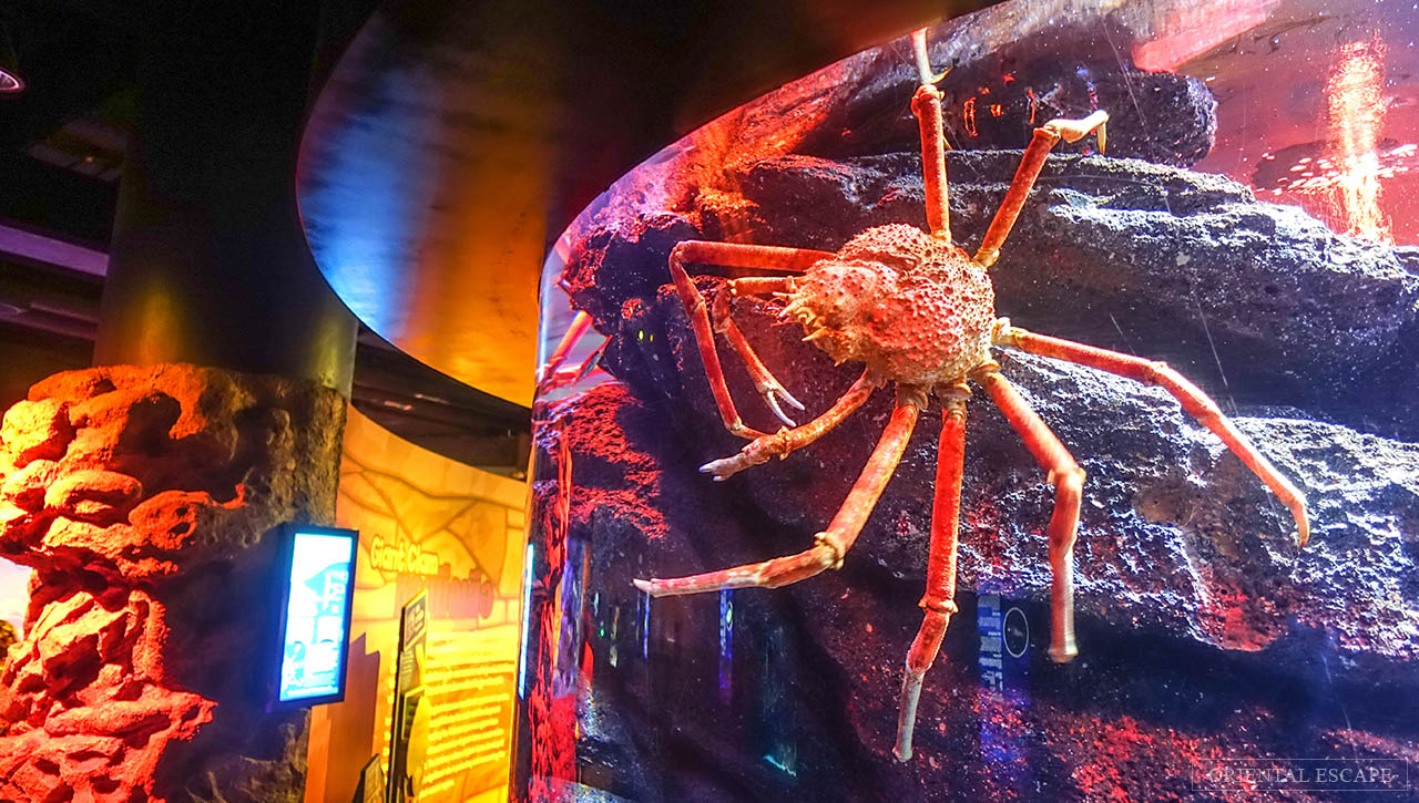 Sea Life Bangkok Ocean word Tickets