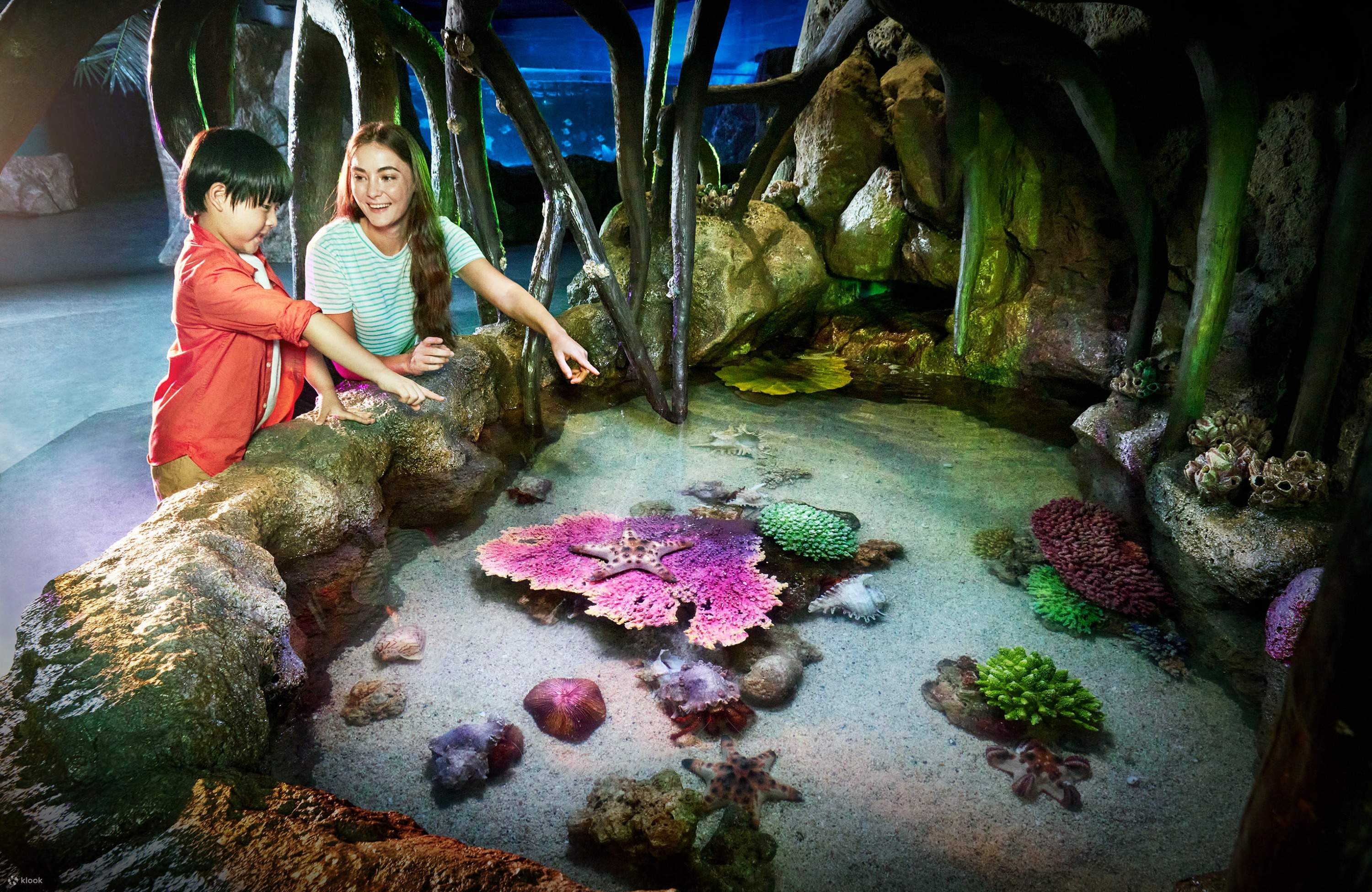 Sea Life Bangkok Ocean word Tickets