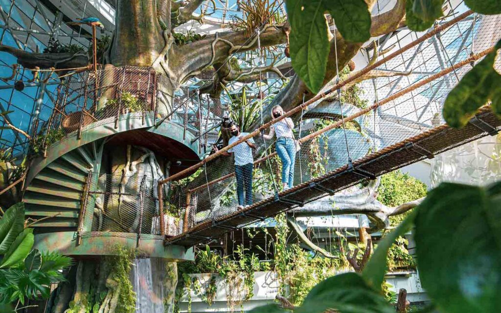 The Green Planet Dubai Tickets