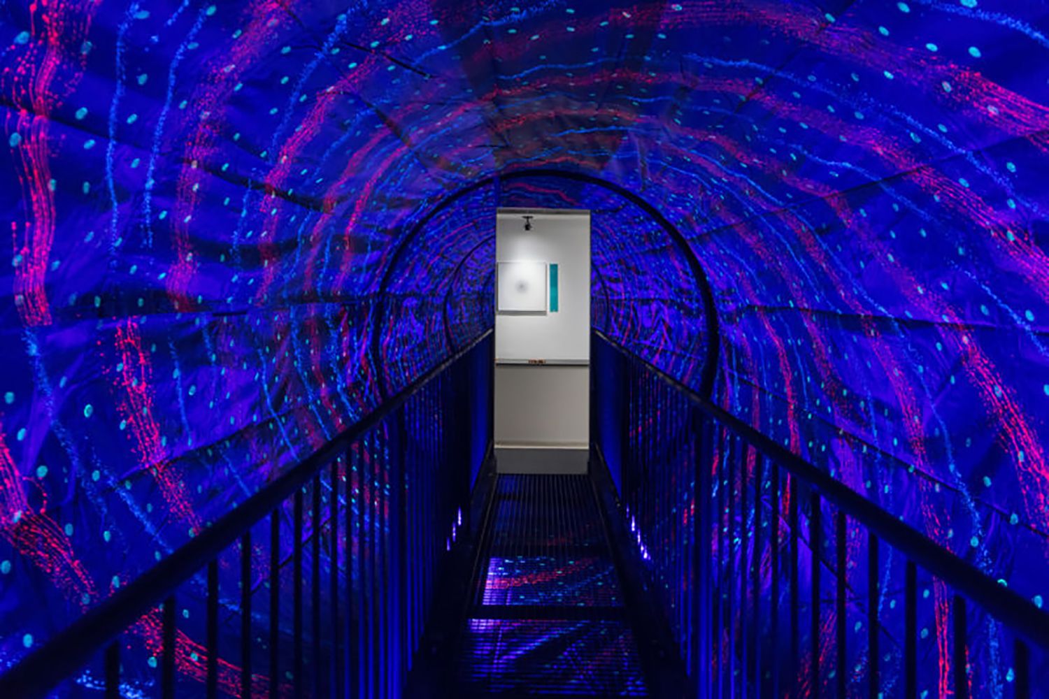Museum Of Illusions
