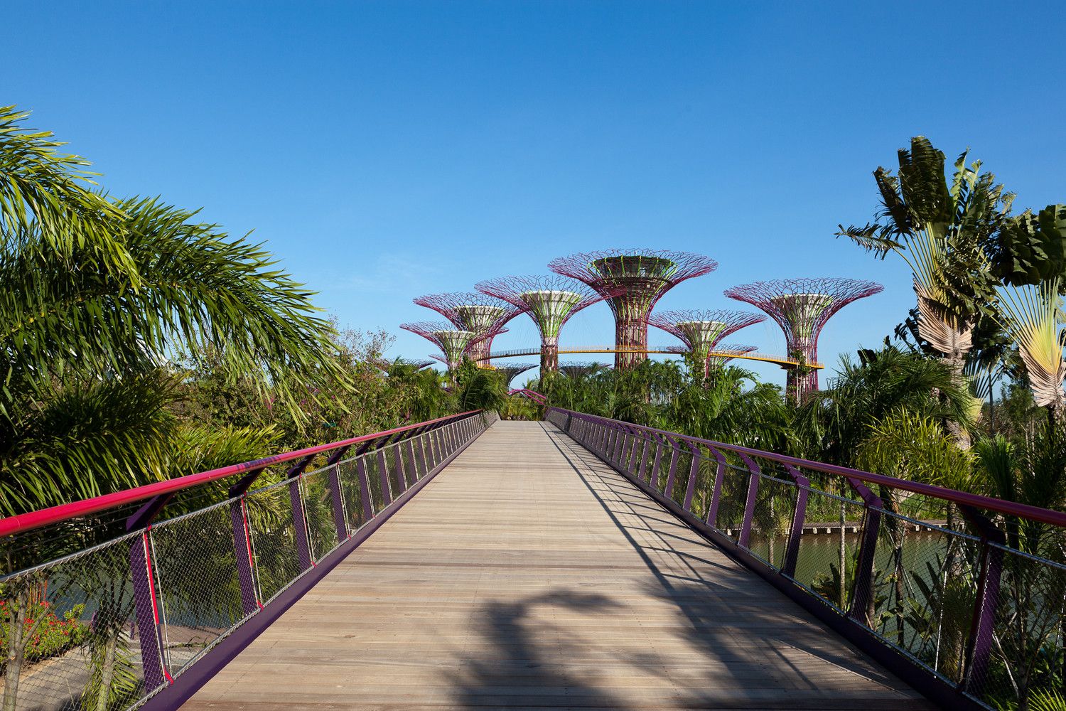 Gardens By The Bay