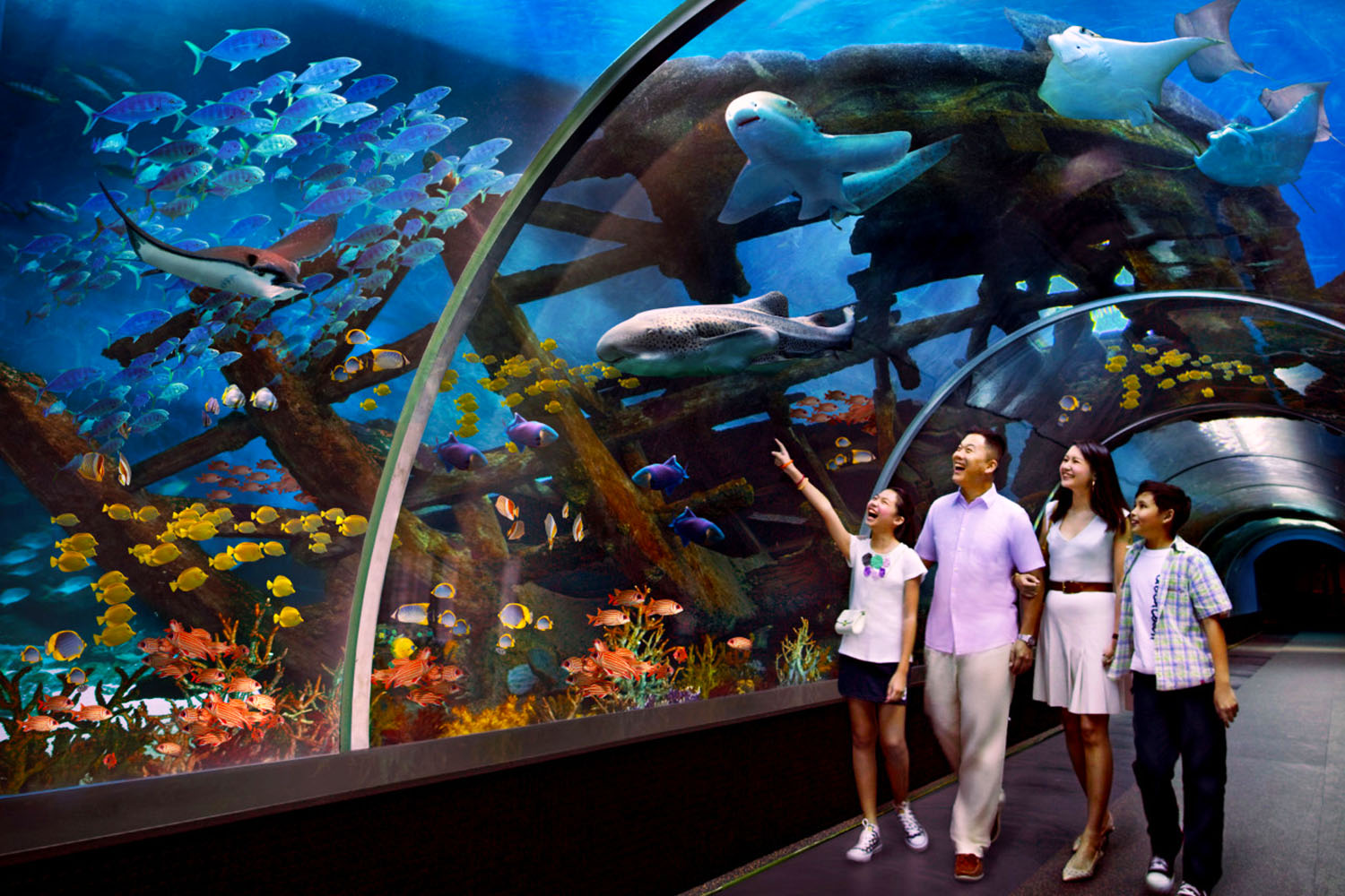 SEA. Aquarium Singapore