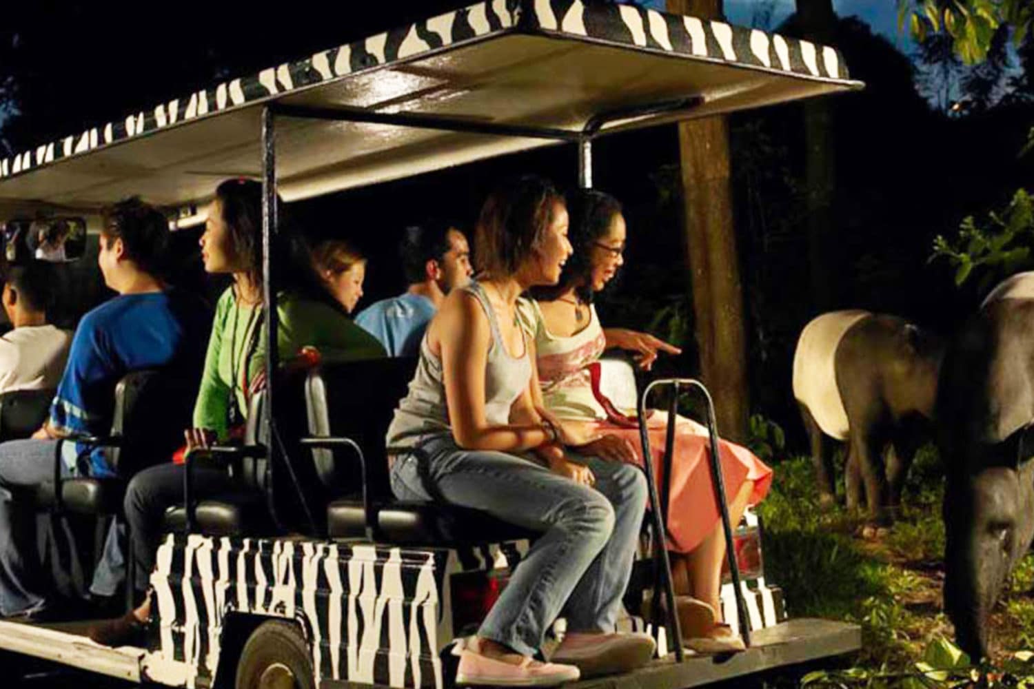 Night Safari Singapore