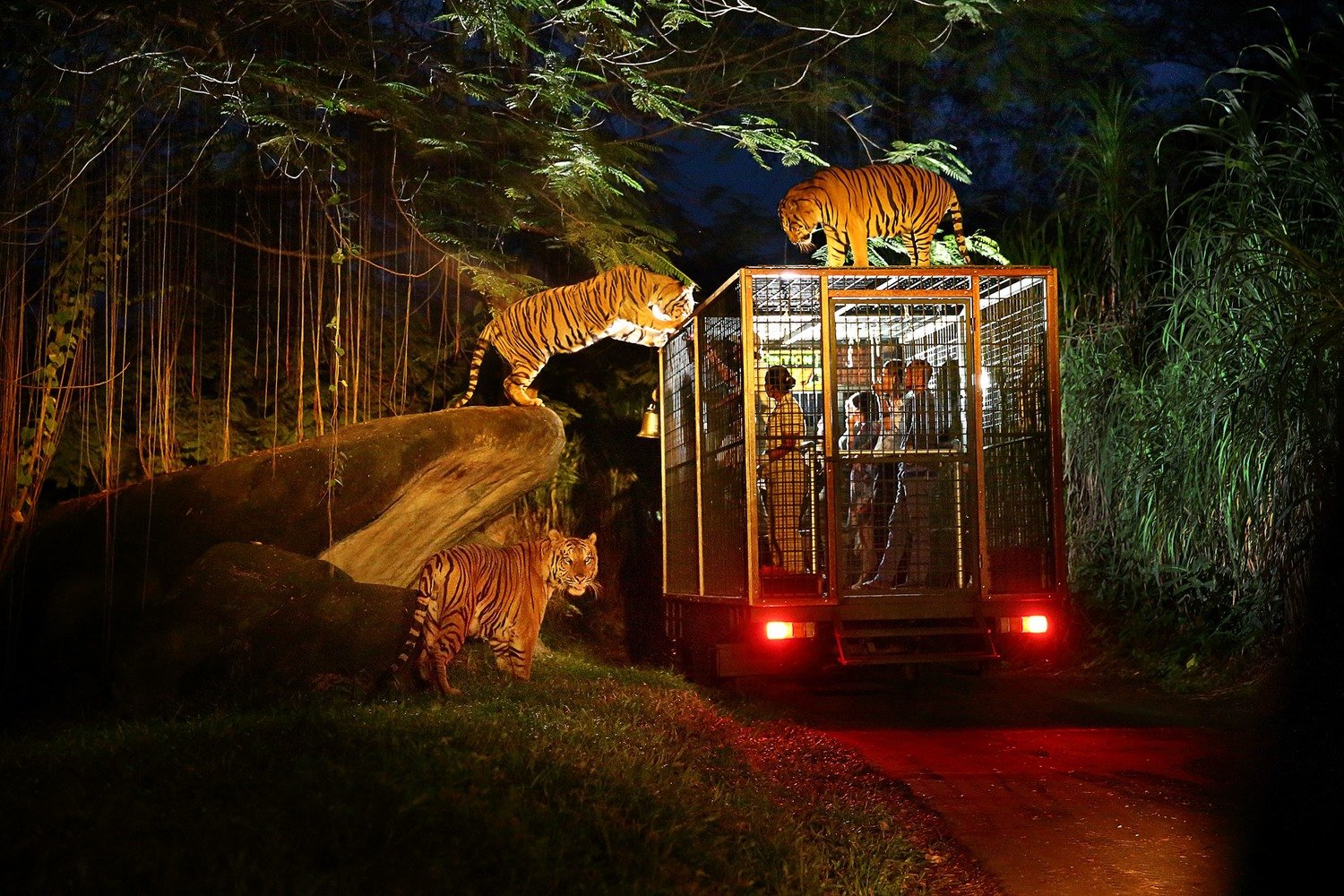 Bali Safari And Marine Park