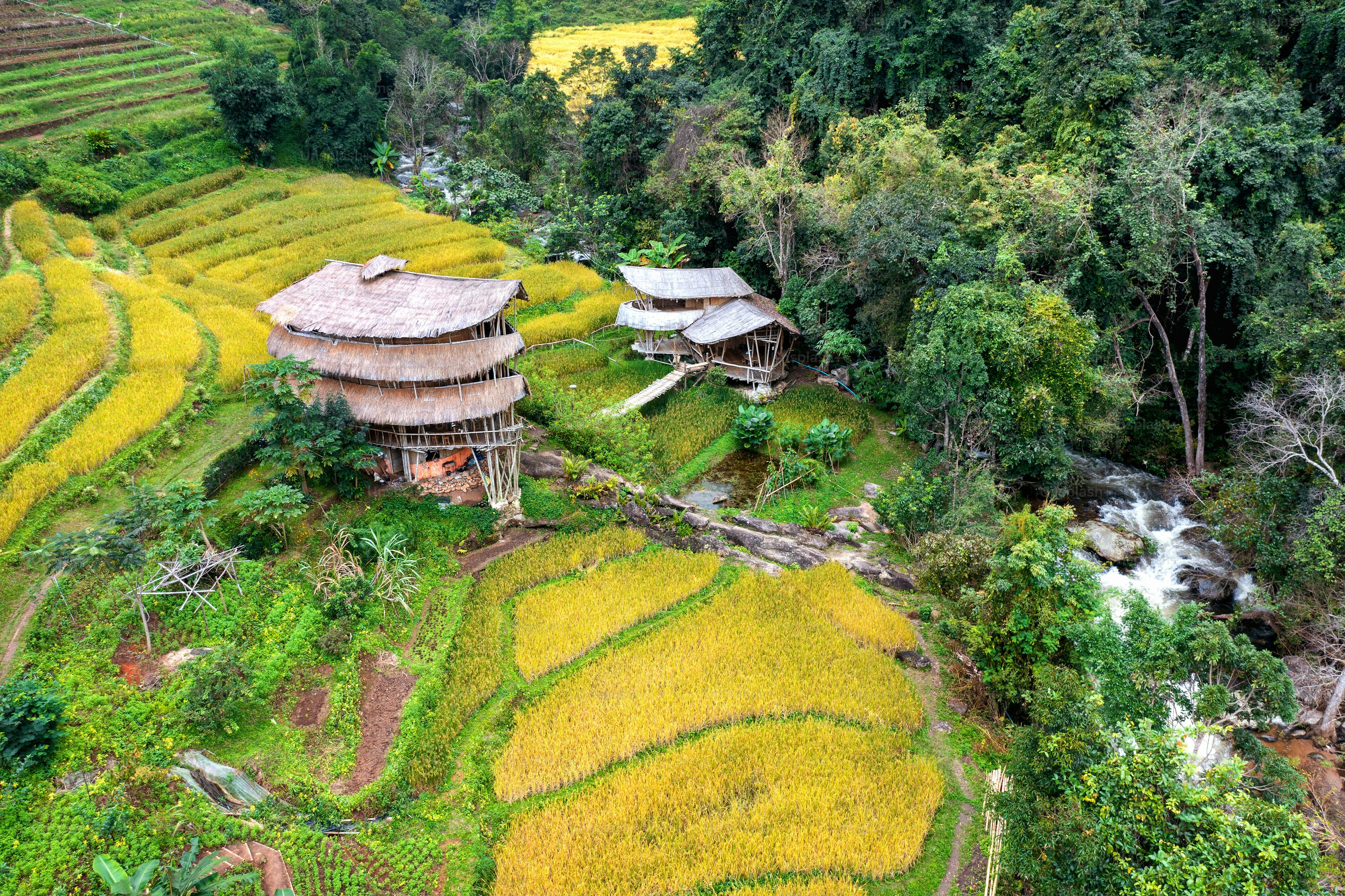 Tegallalang Rice Terraces Bali