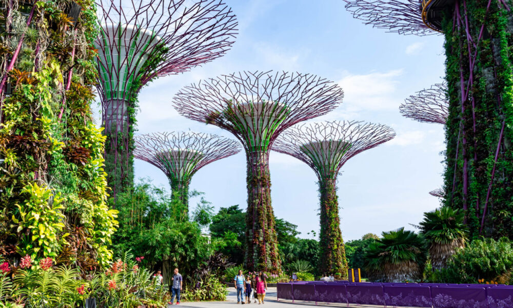 Eye catching Singapore