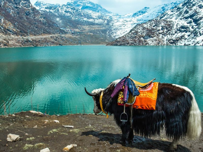 Sikkim and Darjeeling