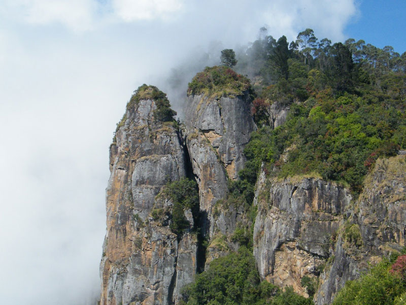 Mysore Ooty and Kodaikanal