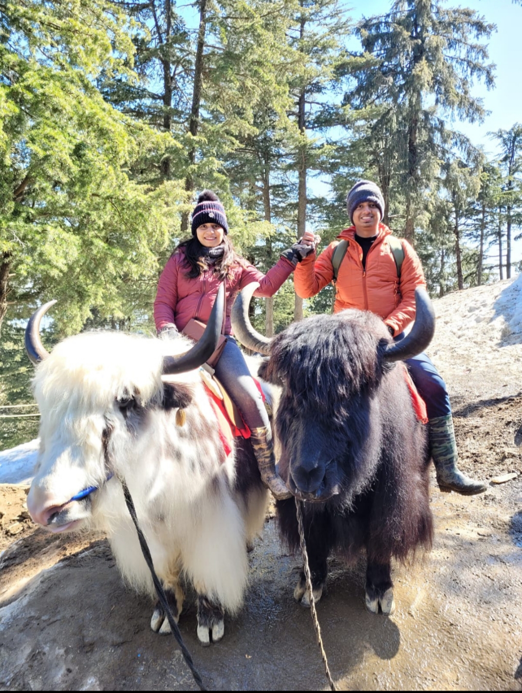 Shimla Kullu Manali 