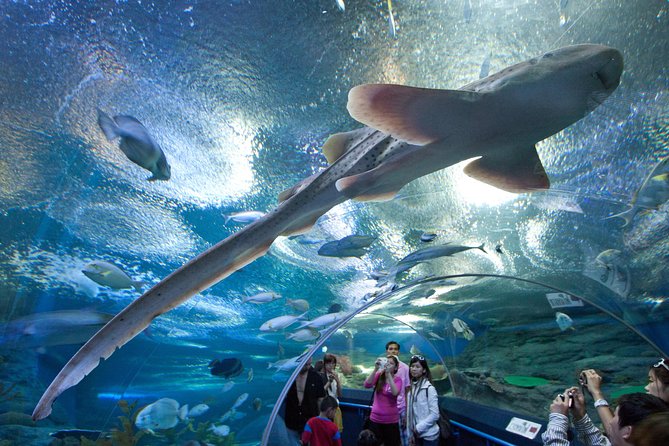 Underwater World Pattaya Tickets