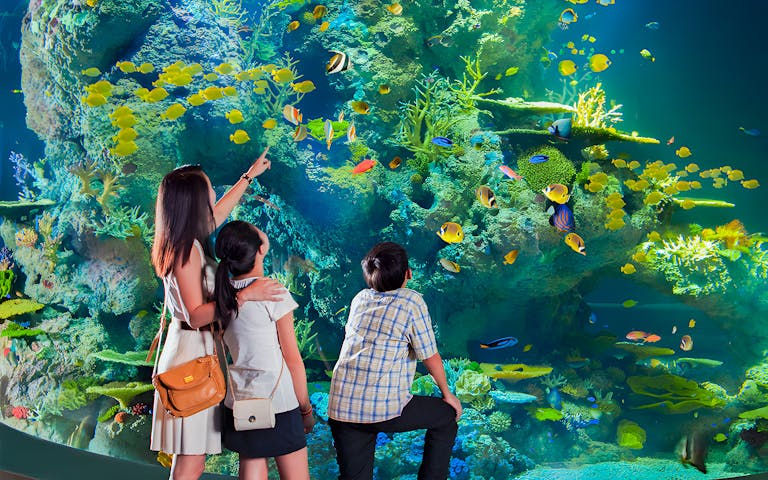 SEA. Aquarium Singapore