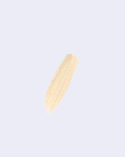 WABI Matte Experience Concealer - 205