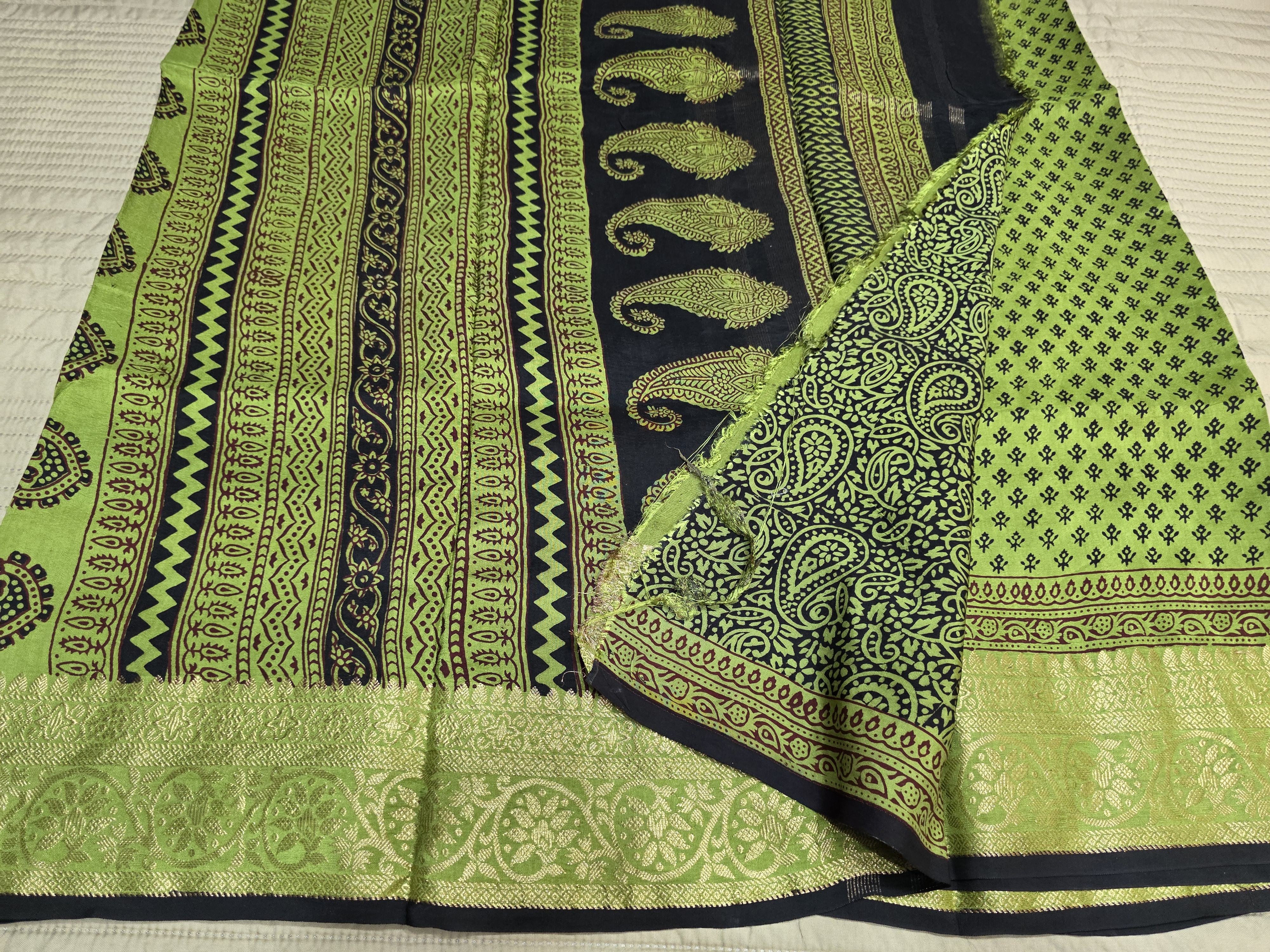 Premium Dola Silk Saree with Traditional Bagh Hand Block Print