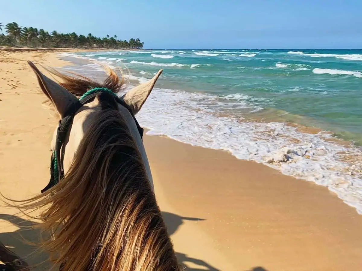 ¡Paseos a Caballo en Punta Cana: Descubre el Paraíso a Galope!