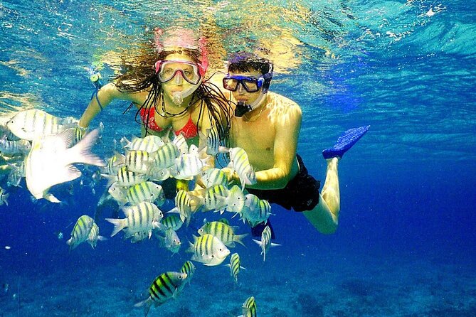 ¡Aventura en Lancha Rápida en Punta Cana – Siente la Adrenalina en Alta Mar!