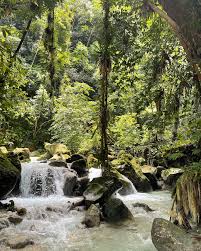 Sendero acuático la plaza 