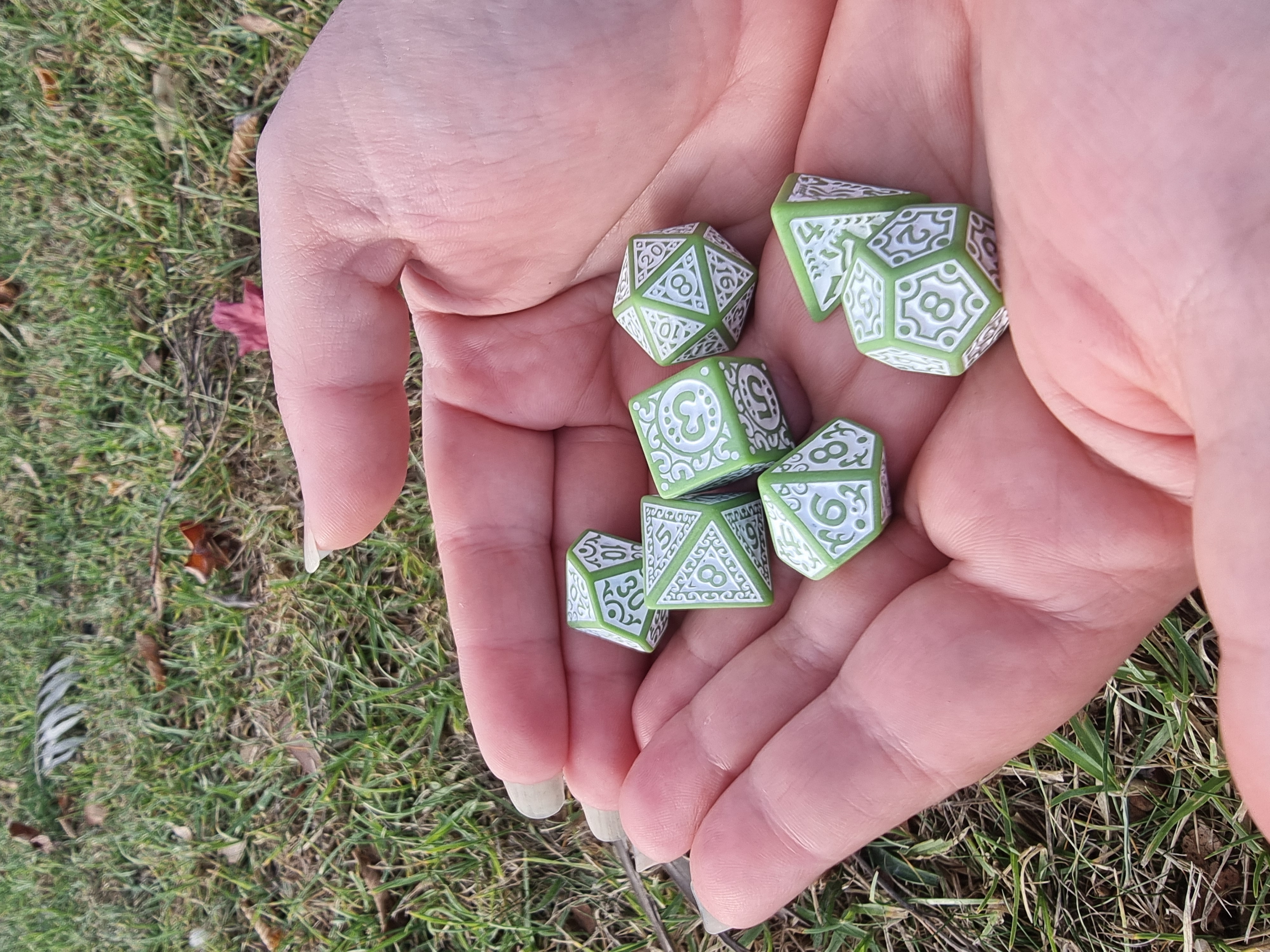 The Elven Sage