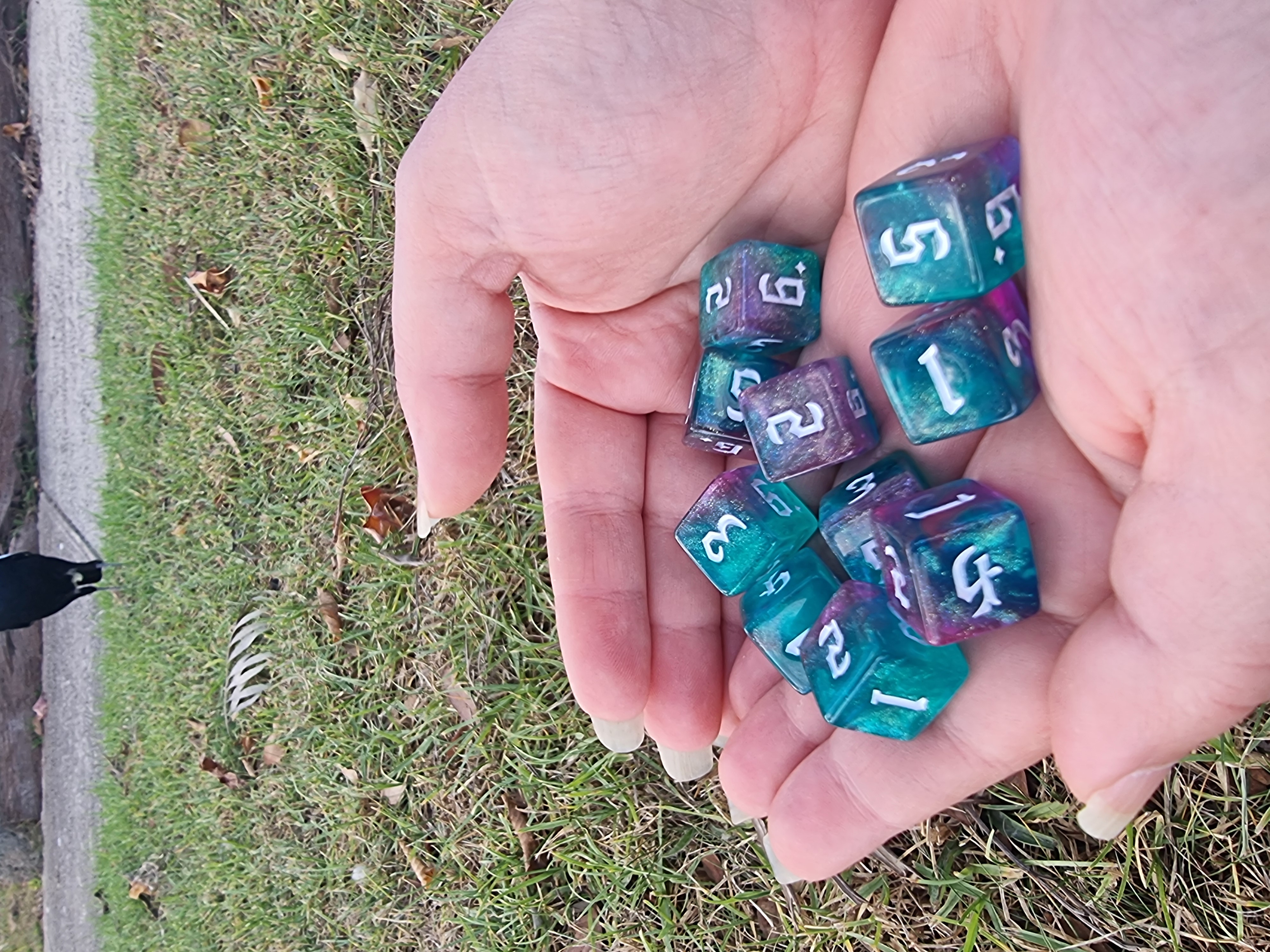 Glitter Berry Swirl D6s