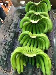 Fresh Green Bananas G9