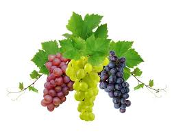 Fresh Mixed Grapes