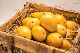 Fresh Ripe Mangoes